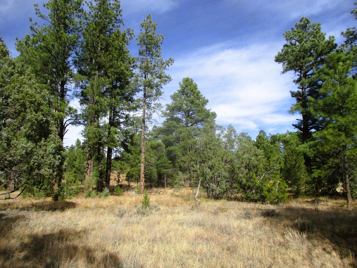 Lot 13 Culebra Drive, Ramah, New Mexico image 23