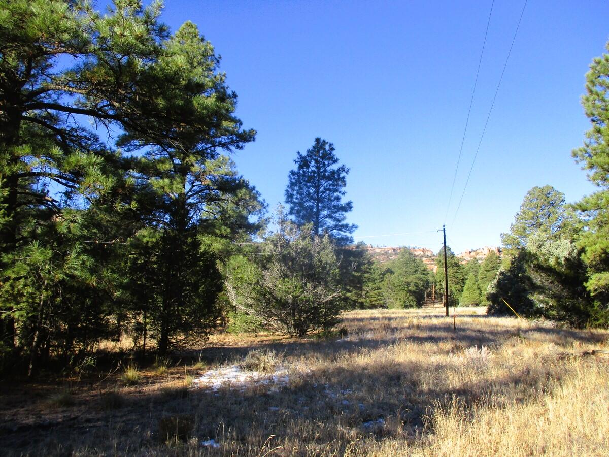 Lot 13 Culebra Drive, Ramah, New Mexico image 40