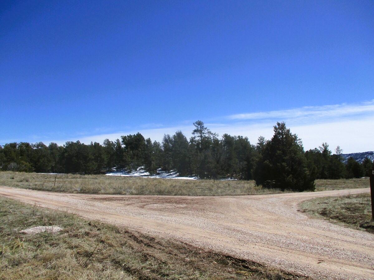 Lot 5 Copperweed Road, Ramah, New Mexico image 13