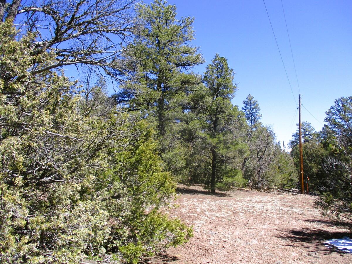 Lot 5 Copperweed Road, Ramah, New Mexico image 33