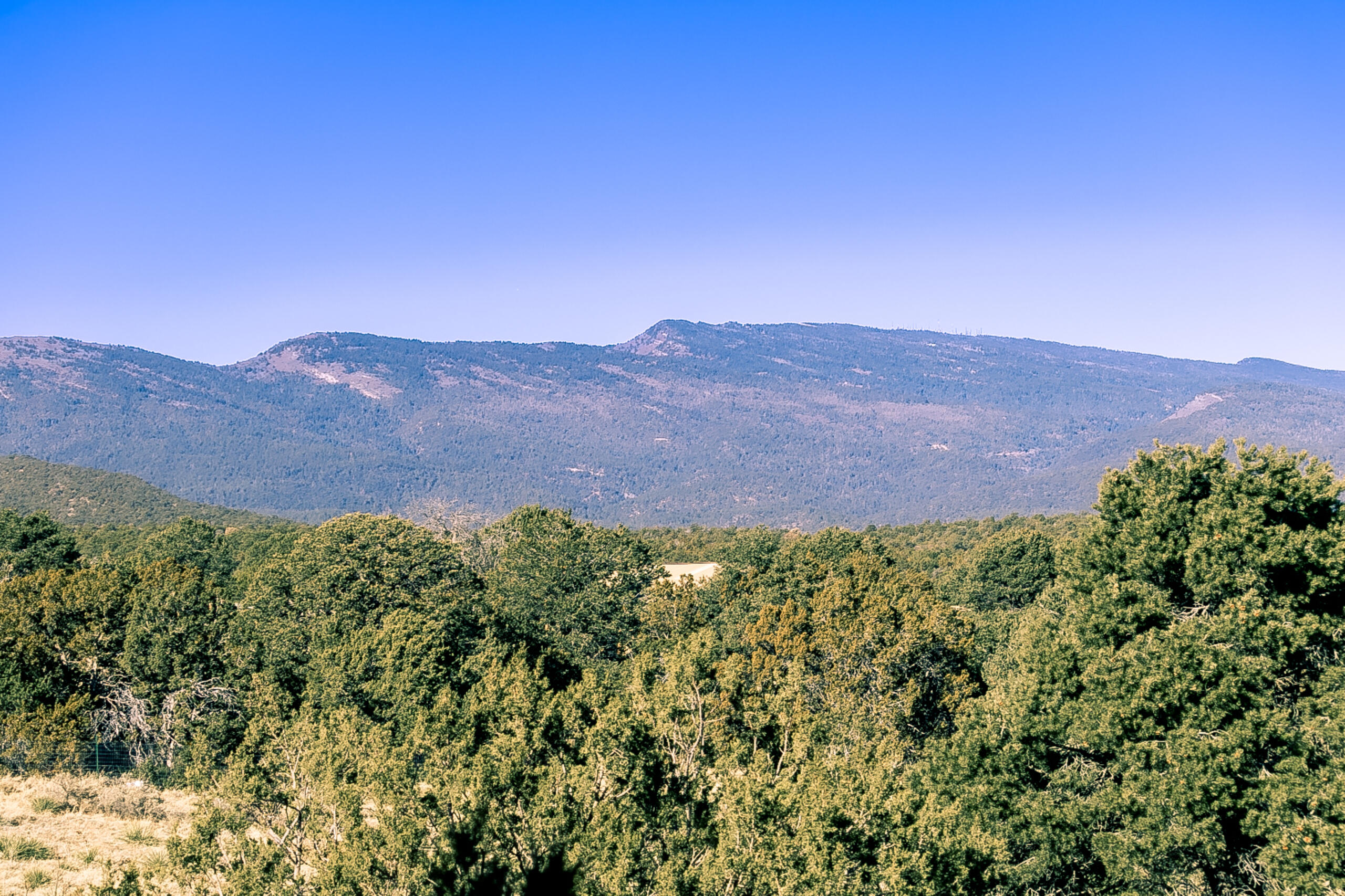 8 Stewart Place, Tijeras, New Mexico image 41