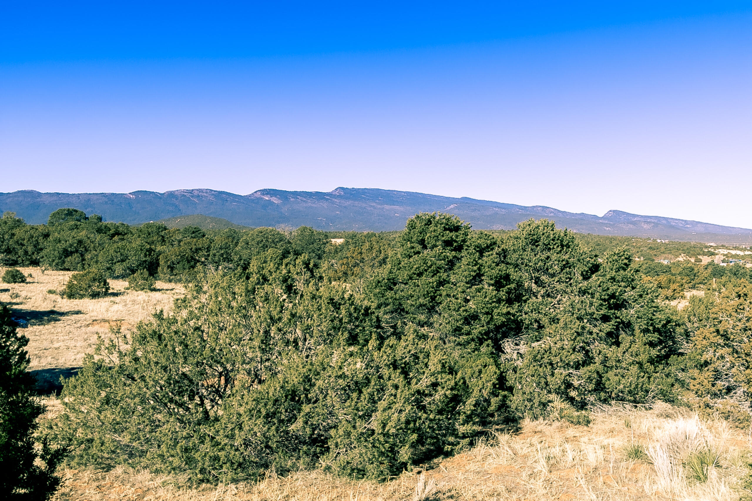 8 Stewart Place, Tijeras, New Mexico image 37