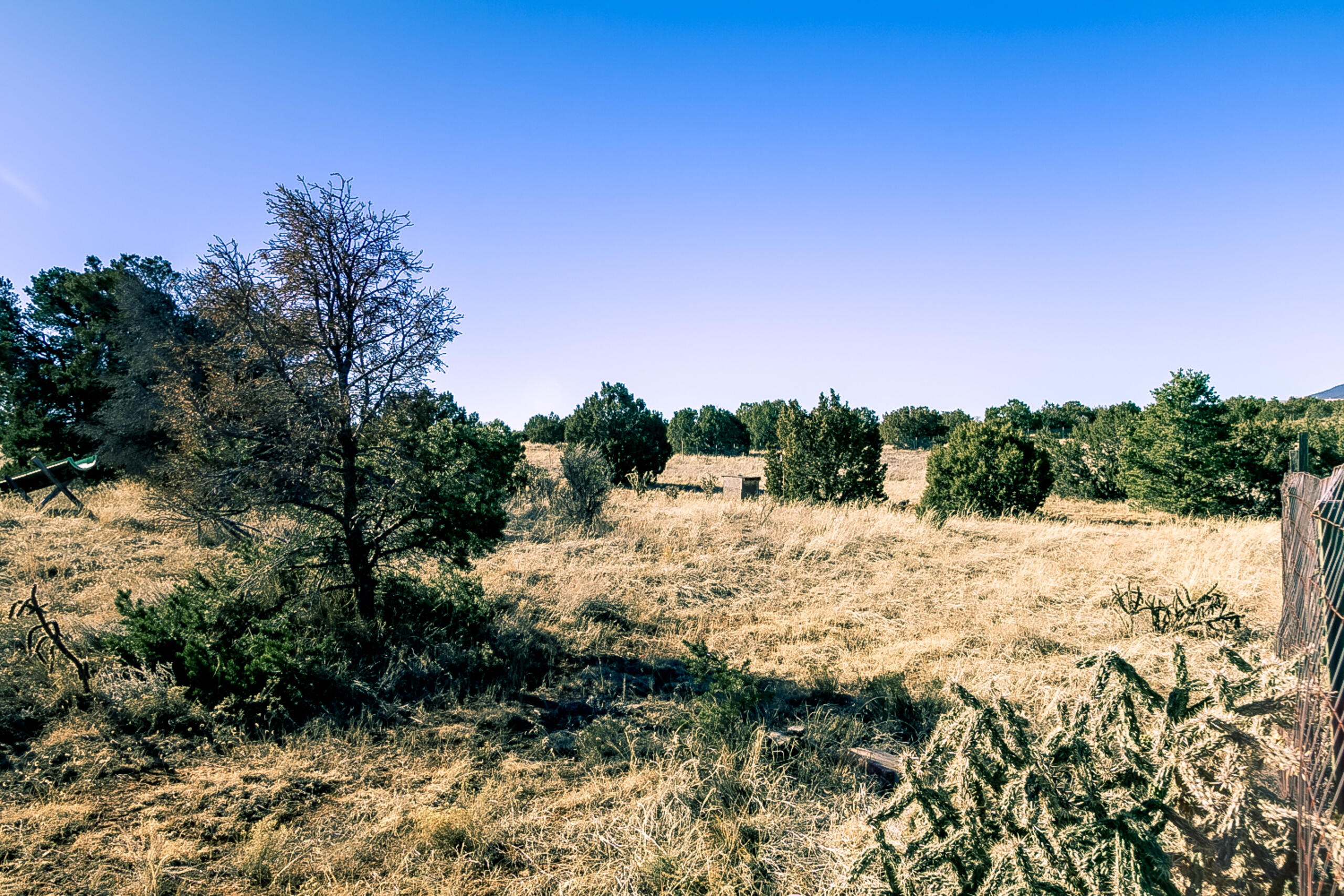 8 Stewart Place, Tijeras, New Mexico image 44