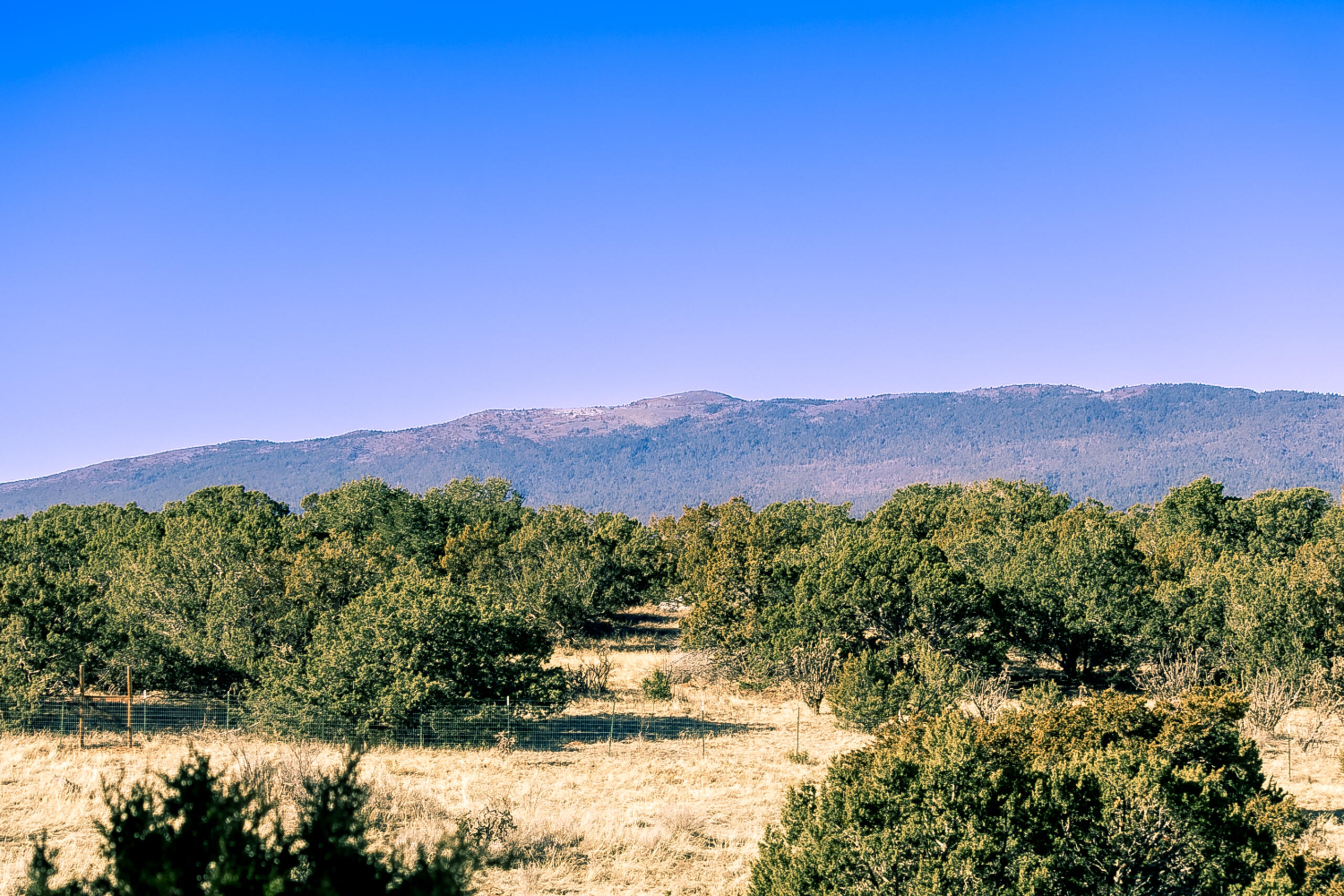 8 Stewart Place, Tijeras, New Mexico image 42