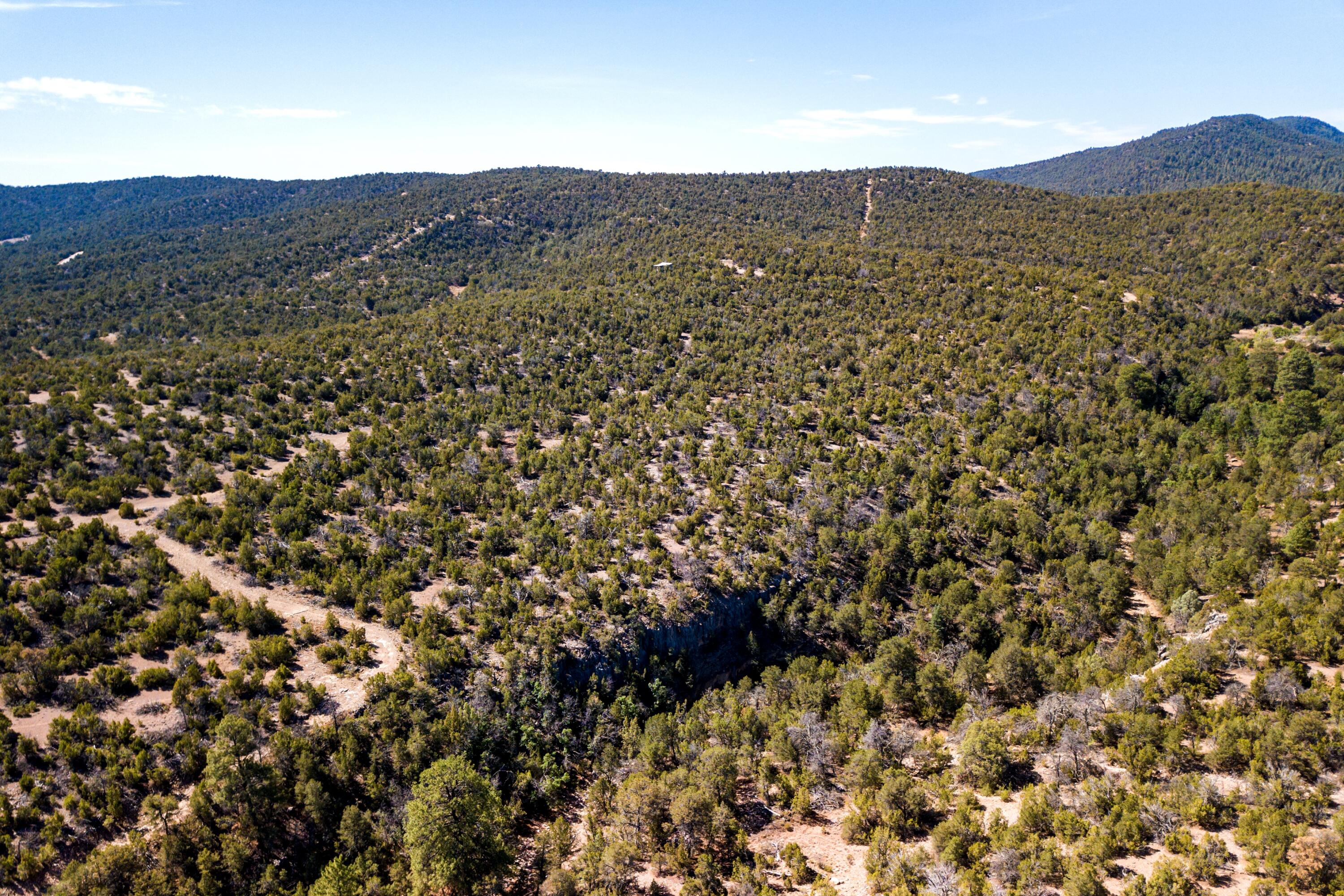 00 La Vista Grande, Sandia Park, New Mexico image 1