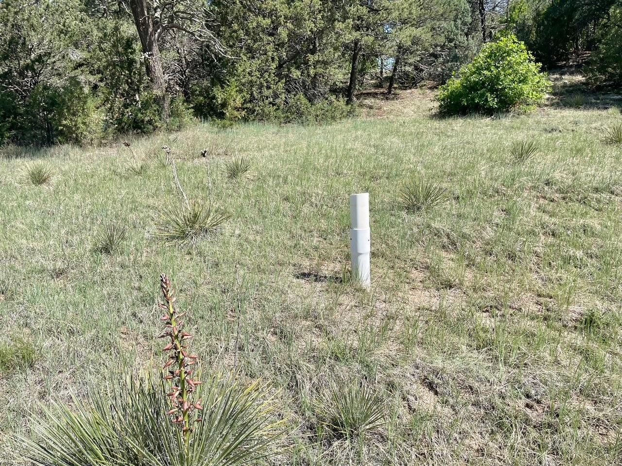 5 Yucca Flats Road, Tijeras, New Mexico image 10