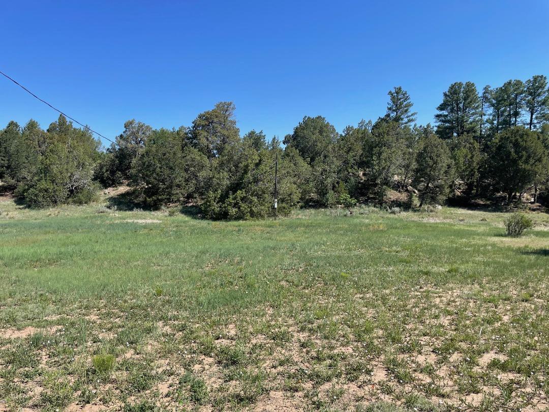 5 Yucca Flats Road, Tijeras, New Mexico image 2