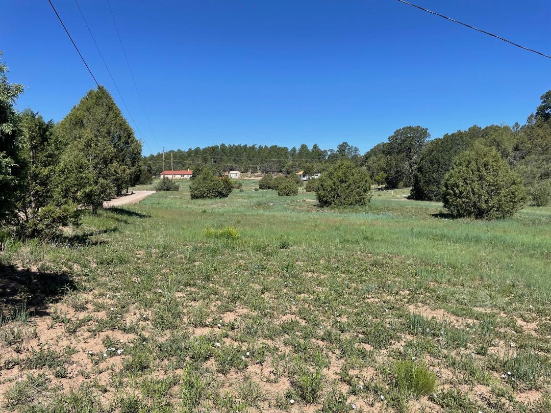 5 Yucca Flats Road, Tijeras, New Mexico image 5