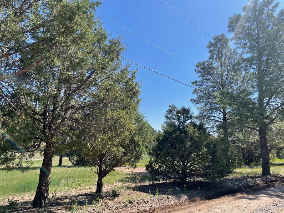 5 Yucca Flats Road, Tijeras, New Mexico image 1