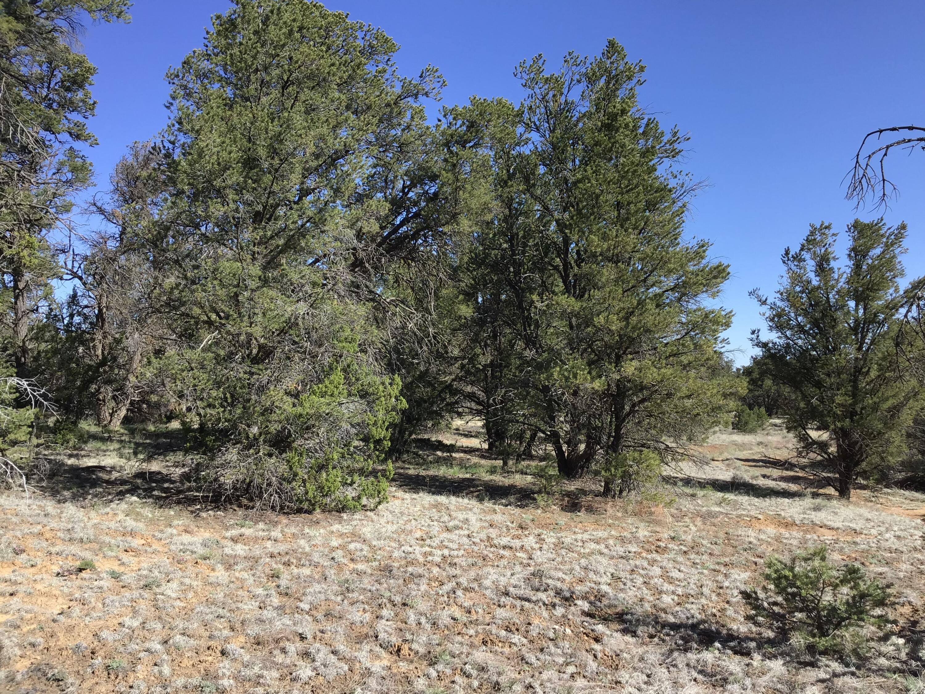 Lot 7 Red Fox Road, Ramah, New Mexico image 36