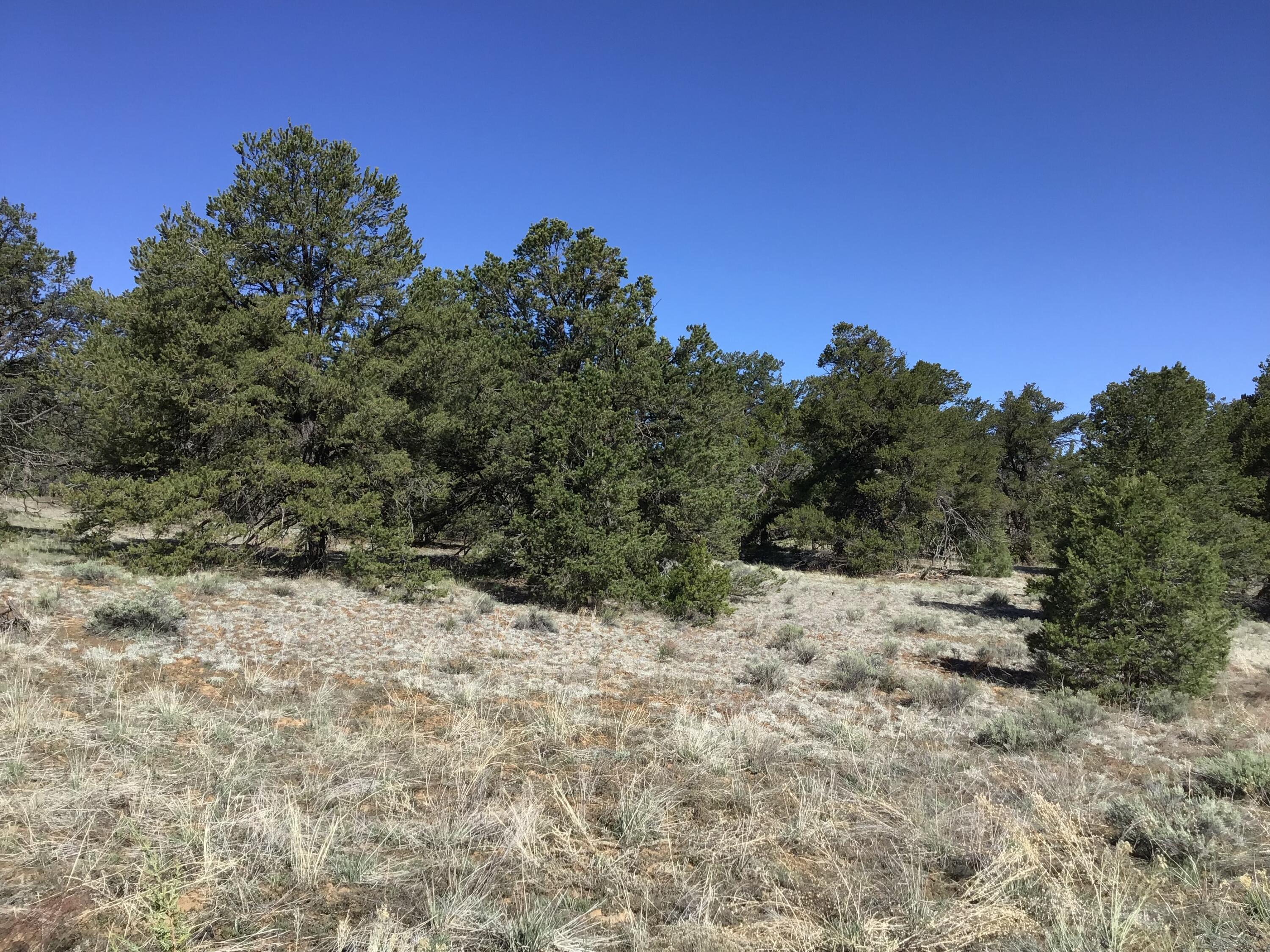 Lot 7 Red Fox Road, Ramah, New Mexico image 38