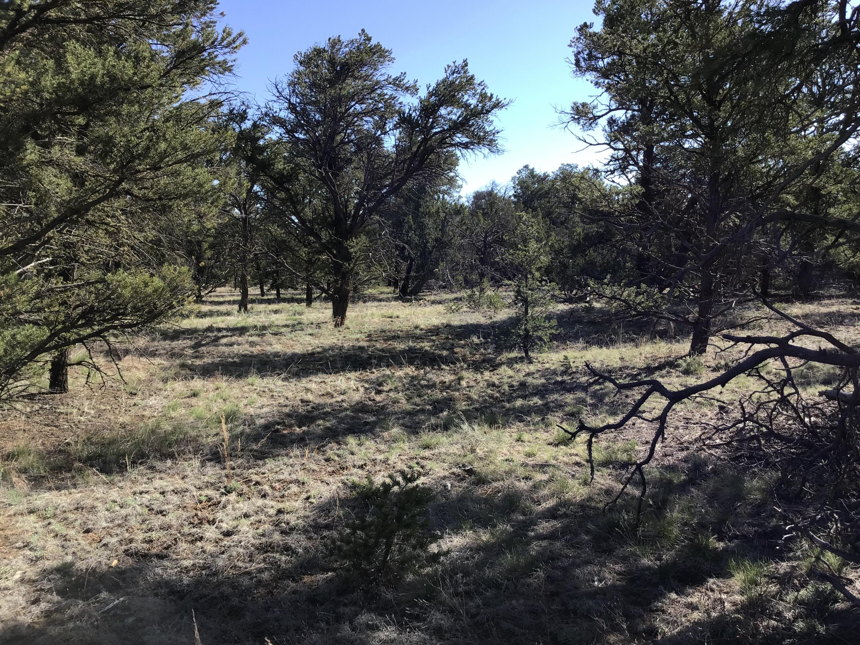 Lot 7 Red Fox Road, Ramah, New Mexico image 17