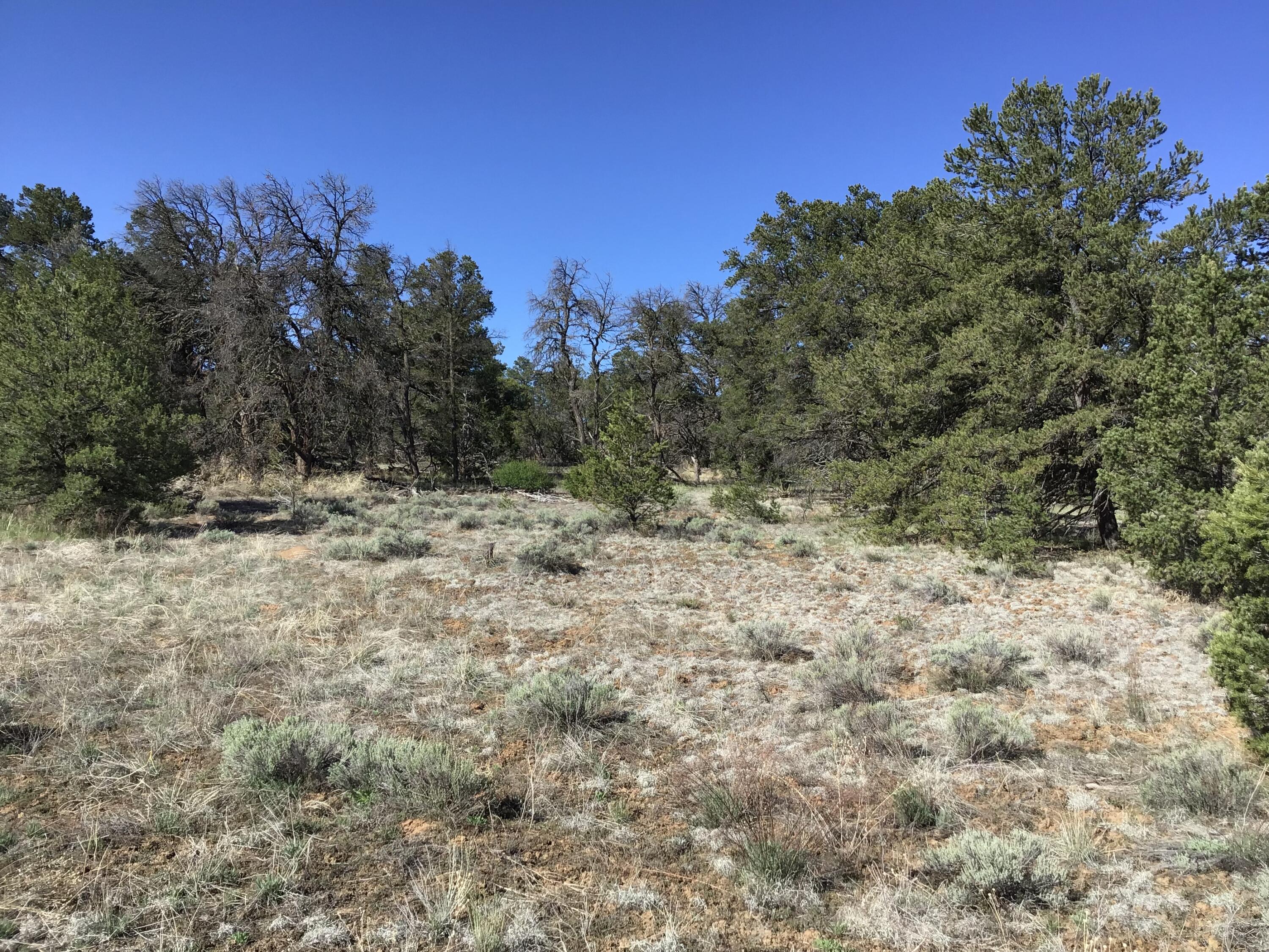 Lot 7 Red Fox Road, Ramah, New Mexico image 6