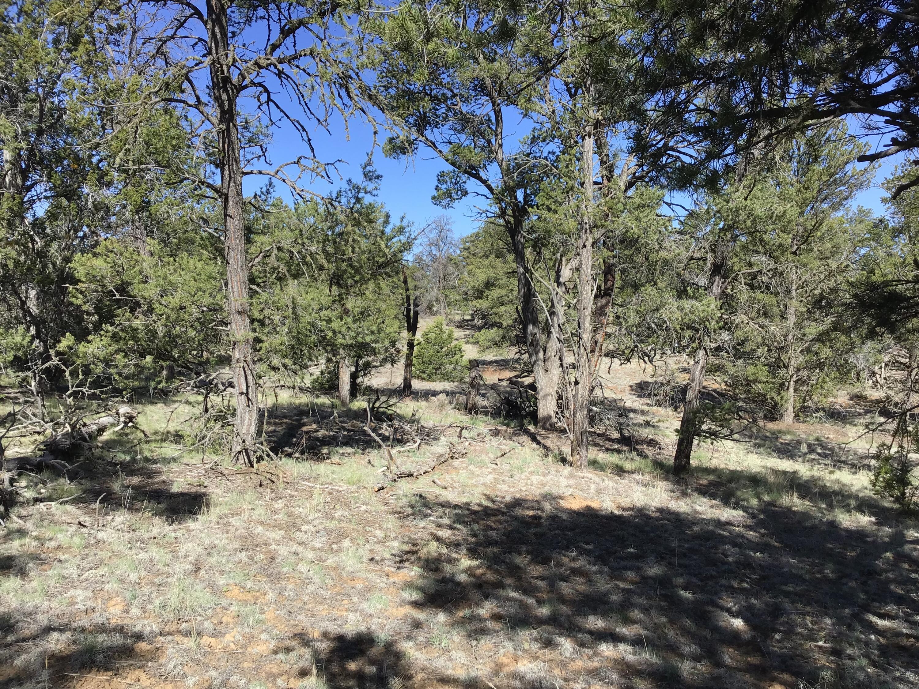 Lot 7 Red Fox Road, Ramah, New Mexico image 16