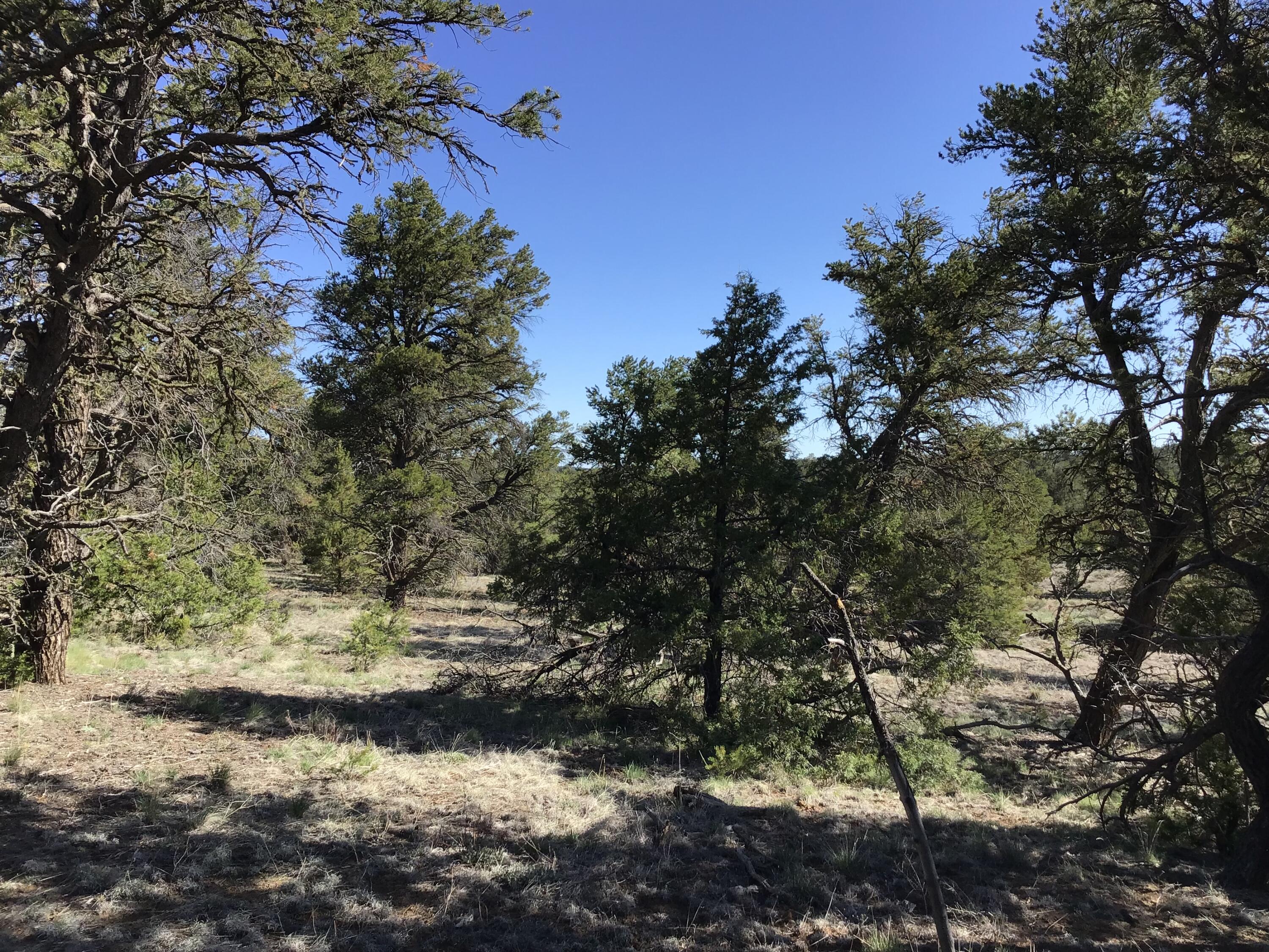 Lot 7 Red Fox Road, Ramah, New Mexico image 29