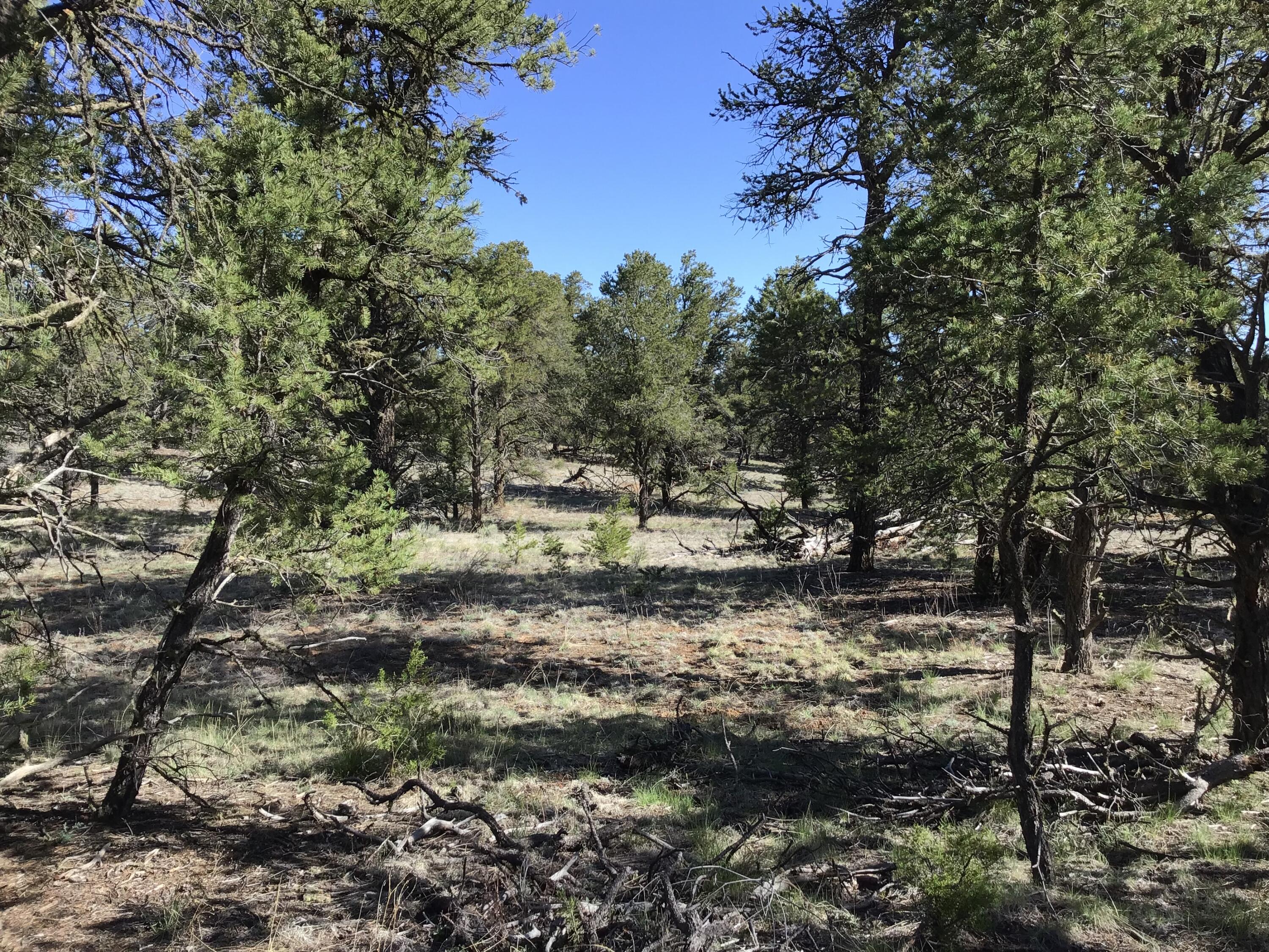 Lot 7 Red Fox Road, Ramah, New Mexico image 18