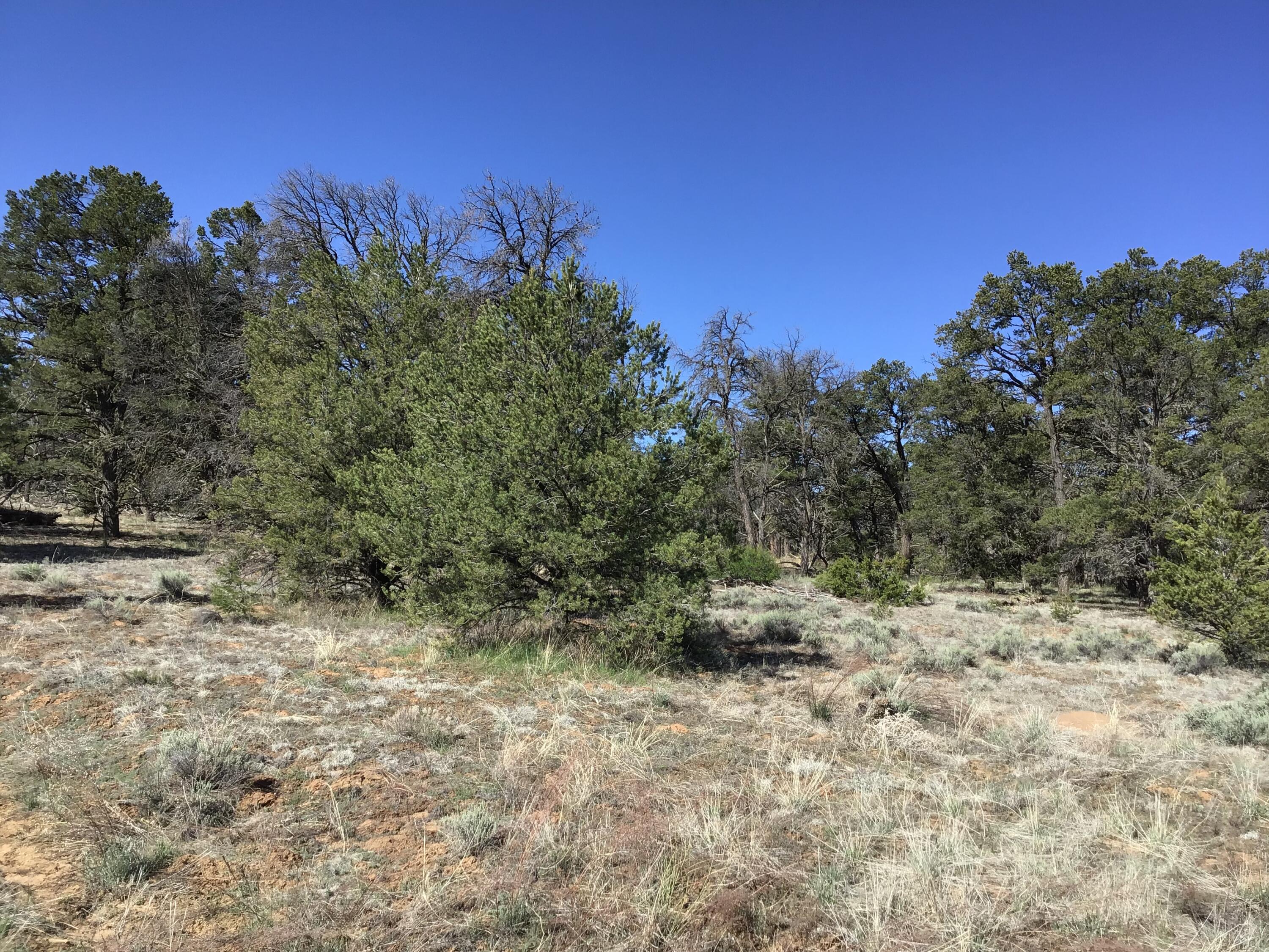 Lot 7 Red Fox Road, Ramah, New Mexico image 37