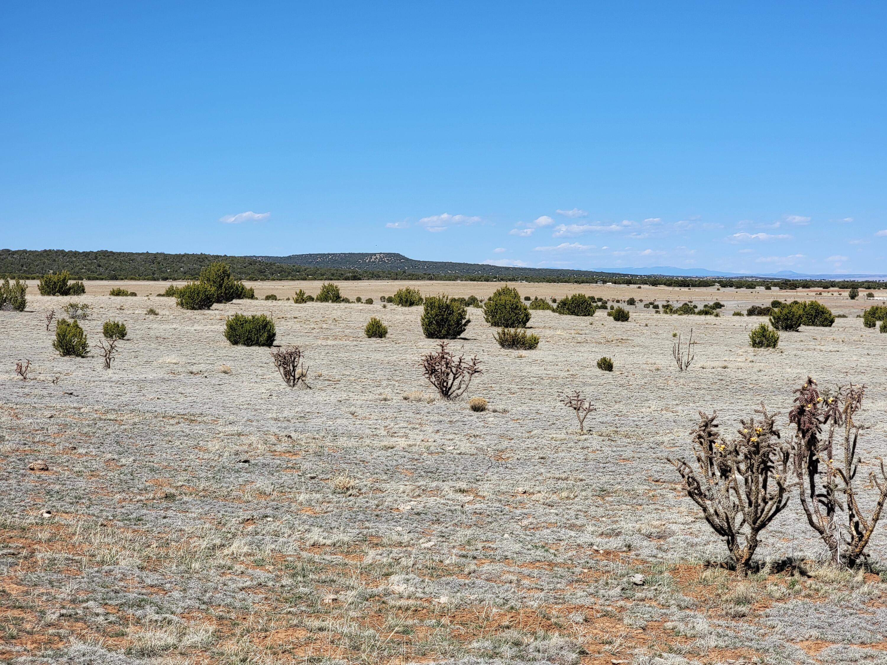 110 Quiet Valley Drive, Estancia, New Mexico image 1