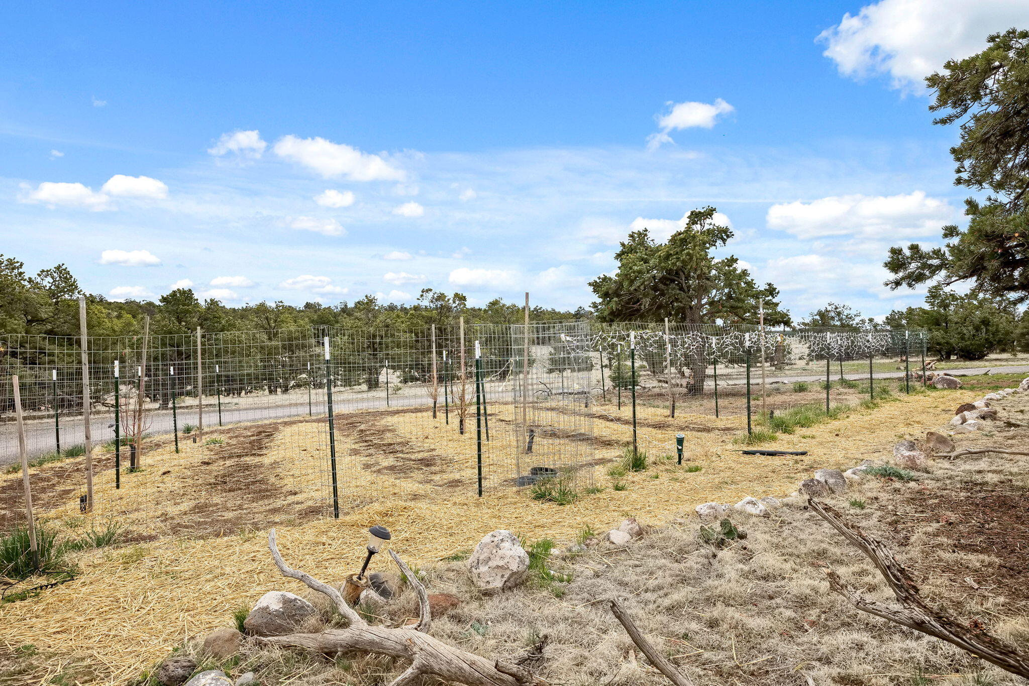 14 Canyon Creek Road, Quemado, New Mexico image 25