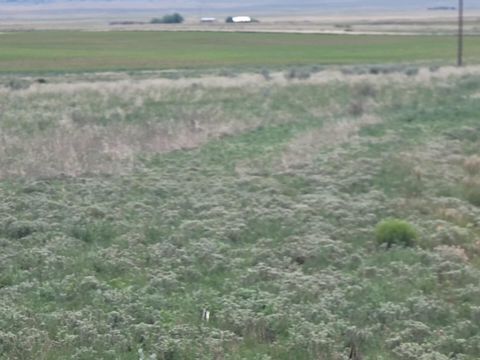 Vacant Land For Sale - 22 Colella Road<br/> Stanley, NM 87056