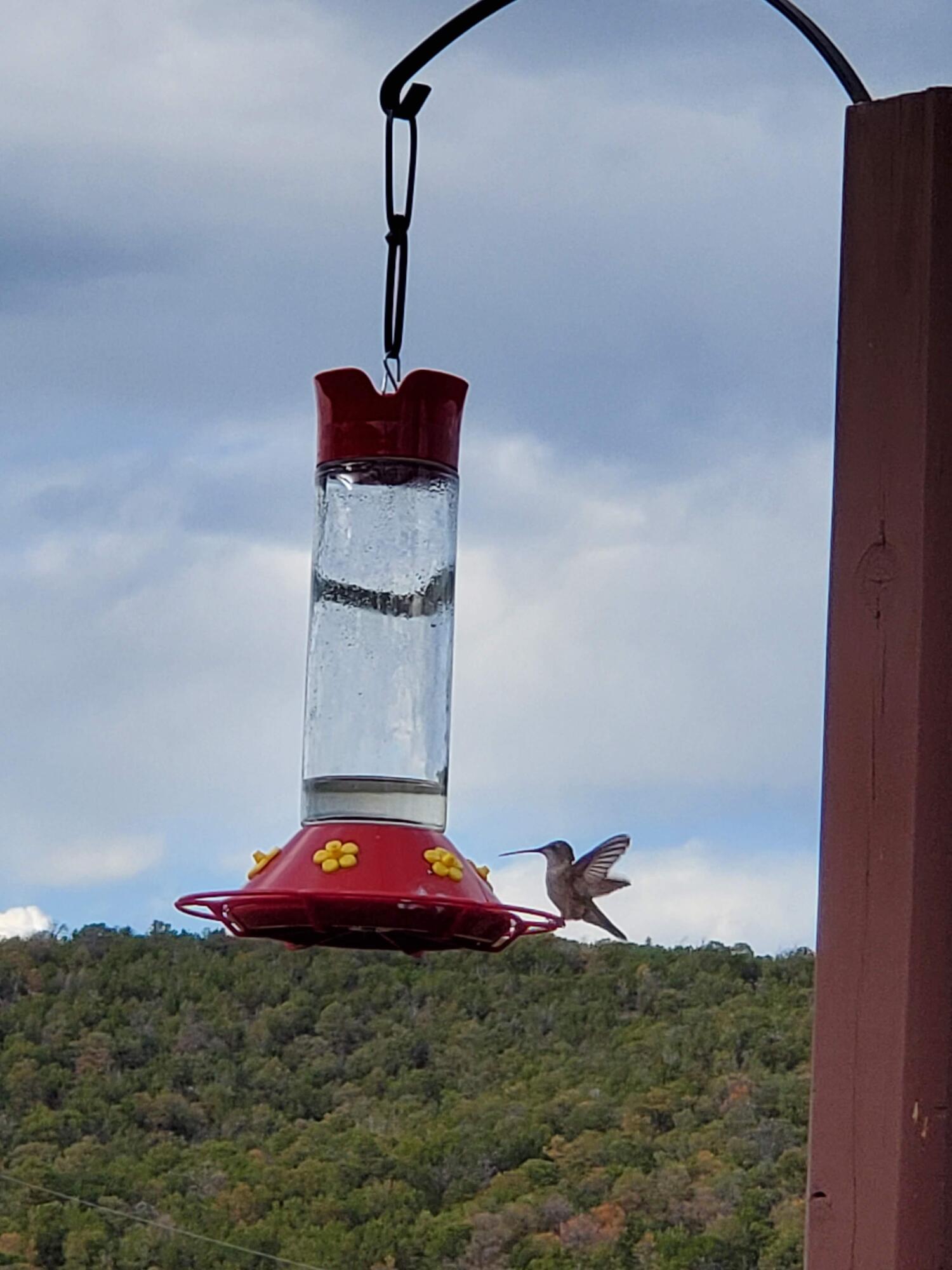 985 County Line Road, Tijeras, New Mexico image 42