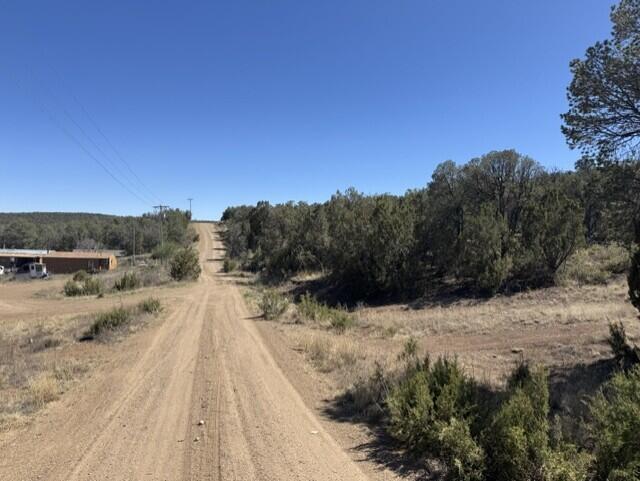 Fire Break Road