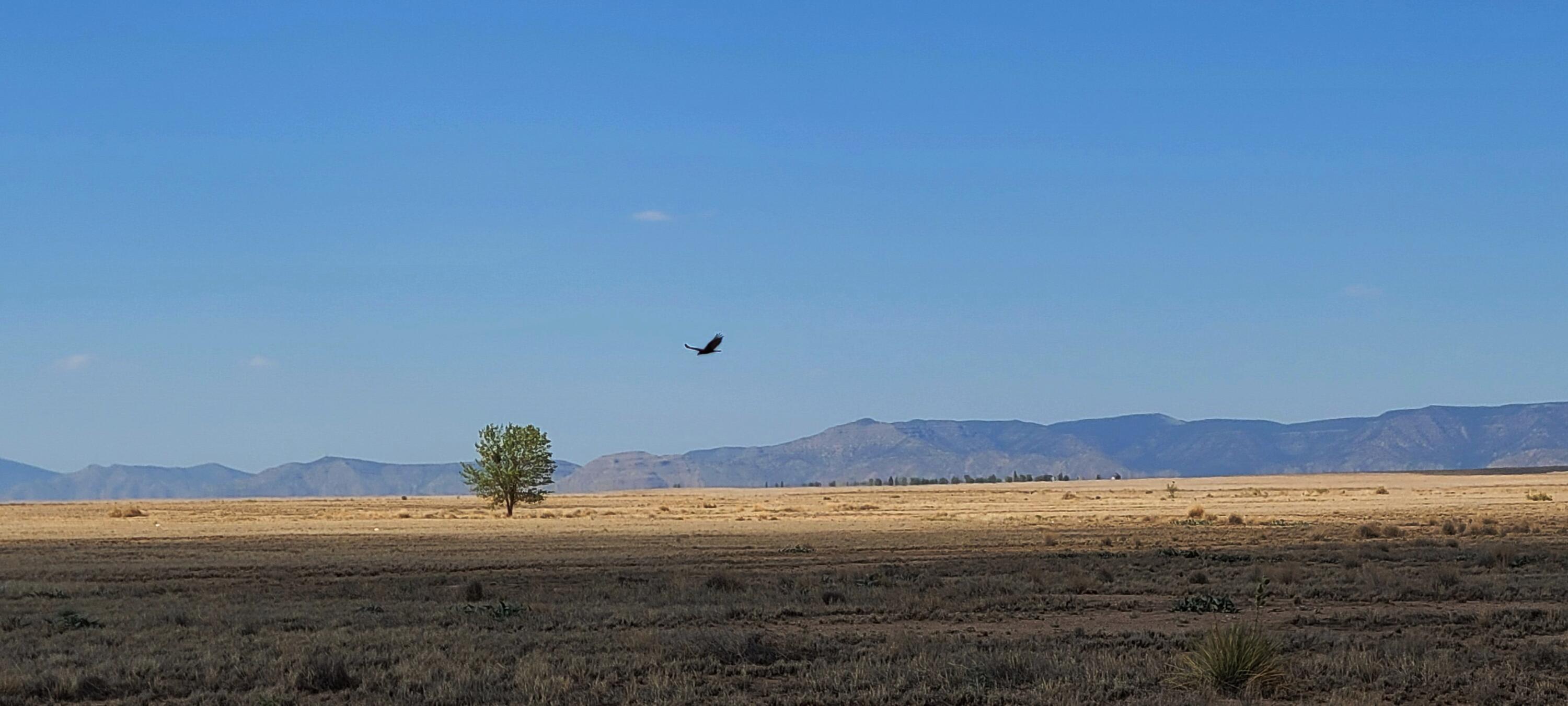 Rio Del Oro Loop N, Los Lunas, New Mexico image 2