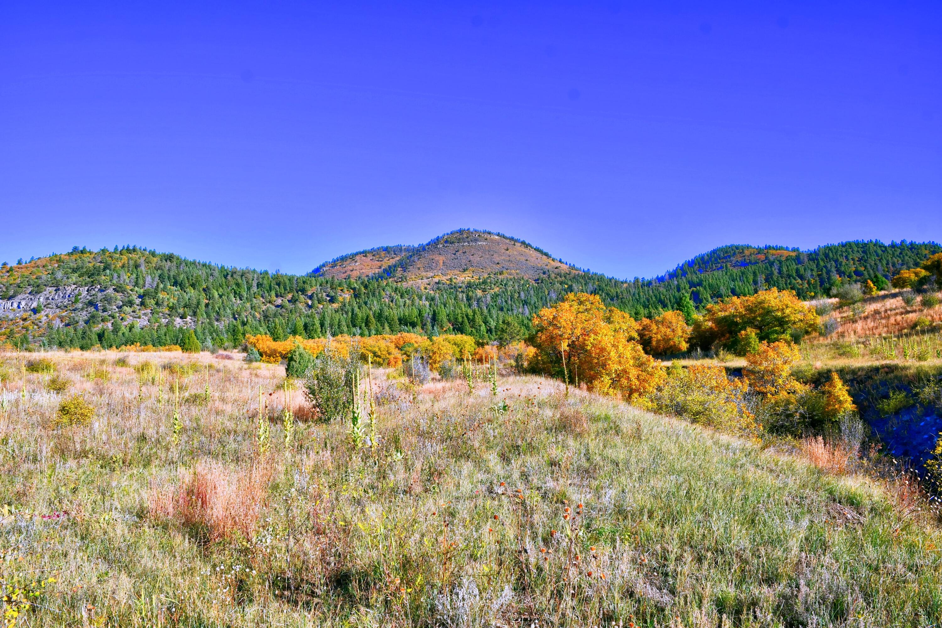 Chacon; Creek B008, Mora, New Mexico image 7