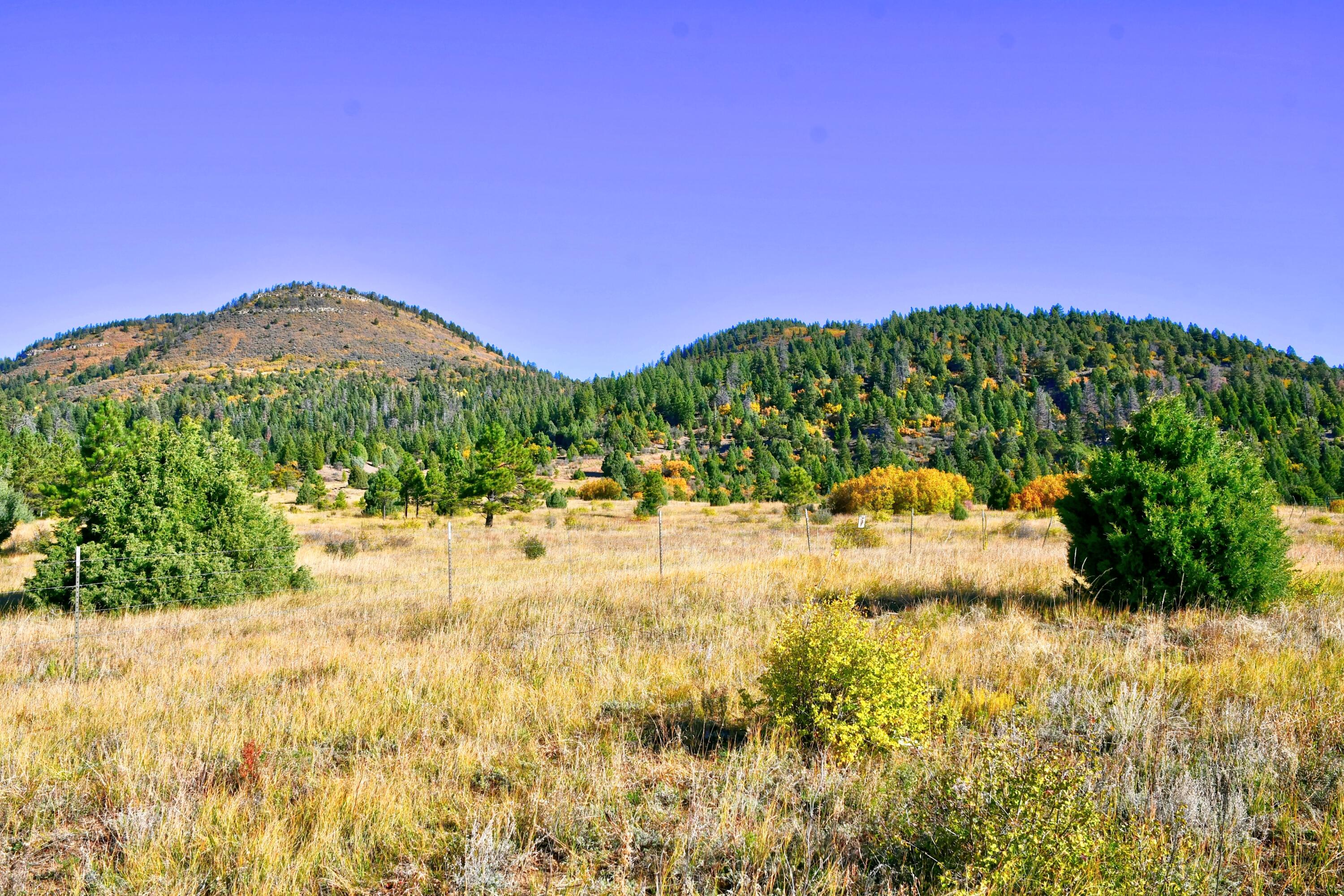 Chacon; Creek B008, Mora, New Mexico image 10