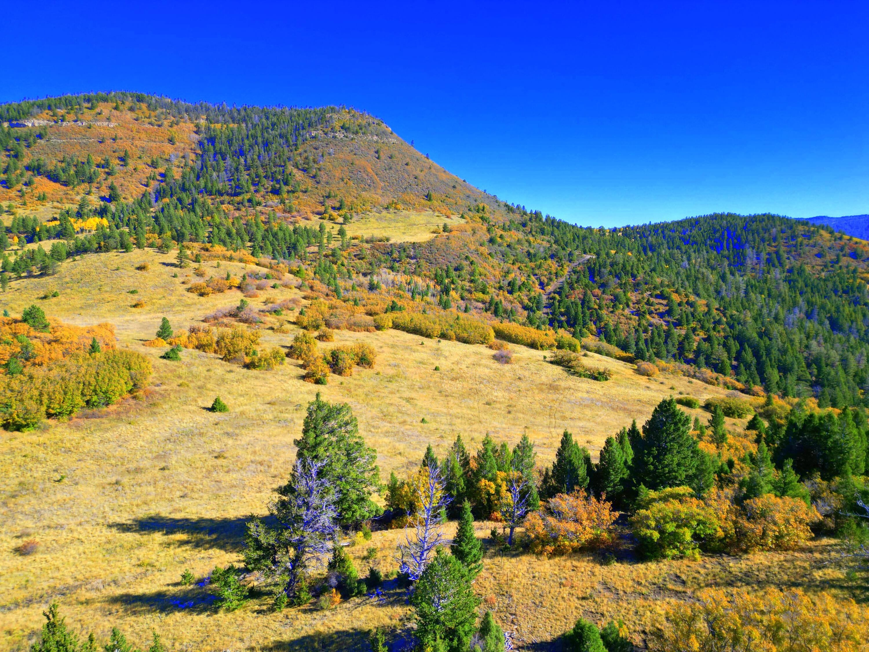 Chacon; Creek B008, Mora, New Mexico image 17