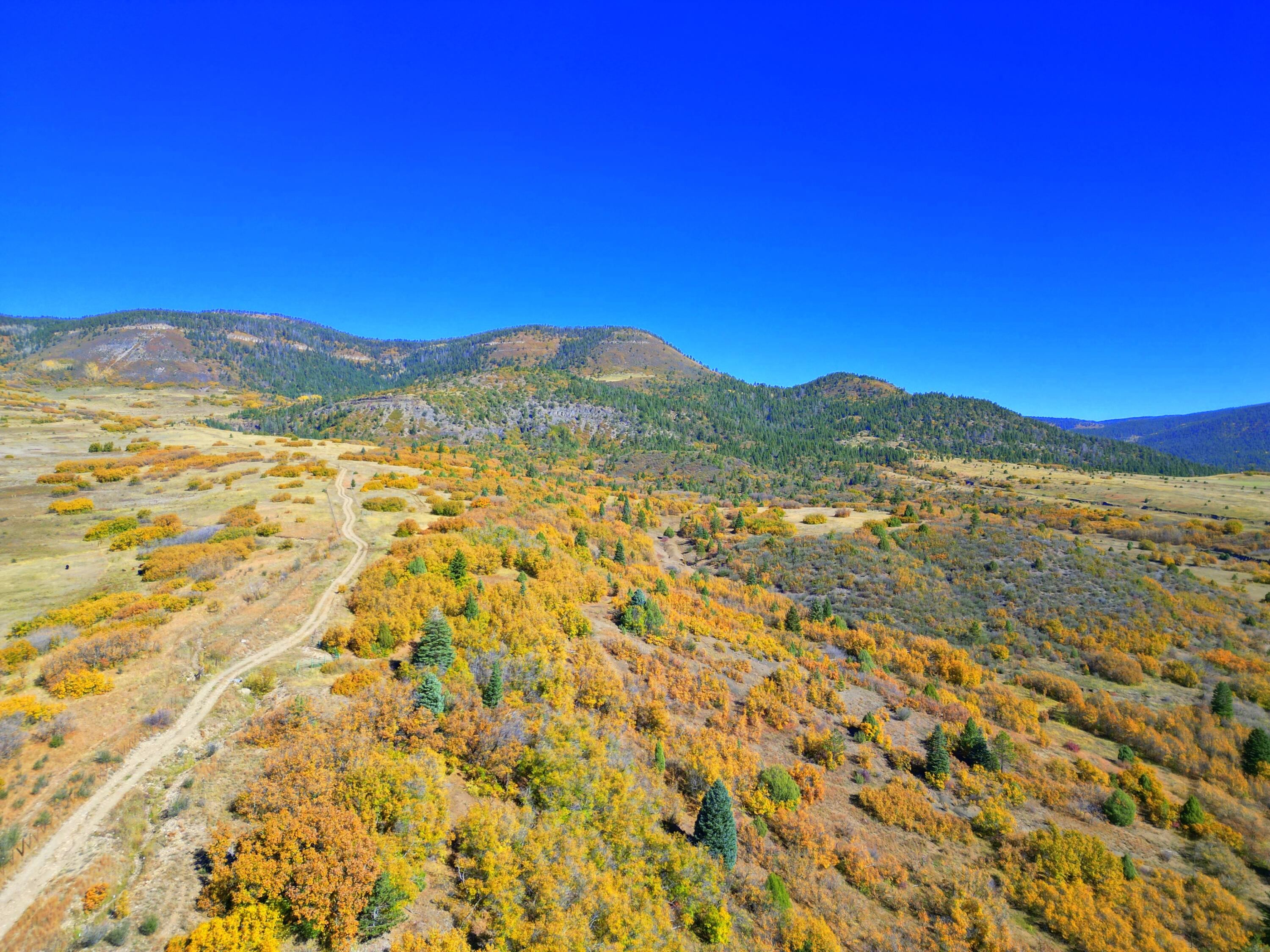 Chacon; Creek B008, Mora, New Mexico image 21