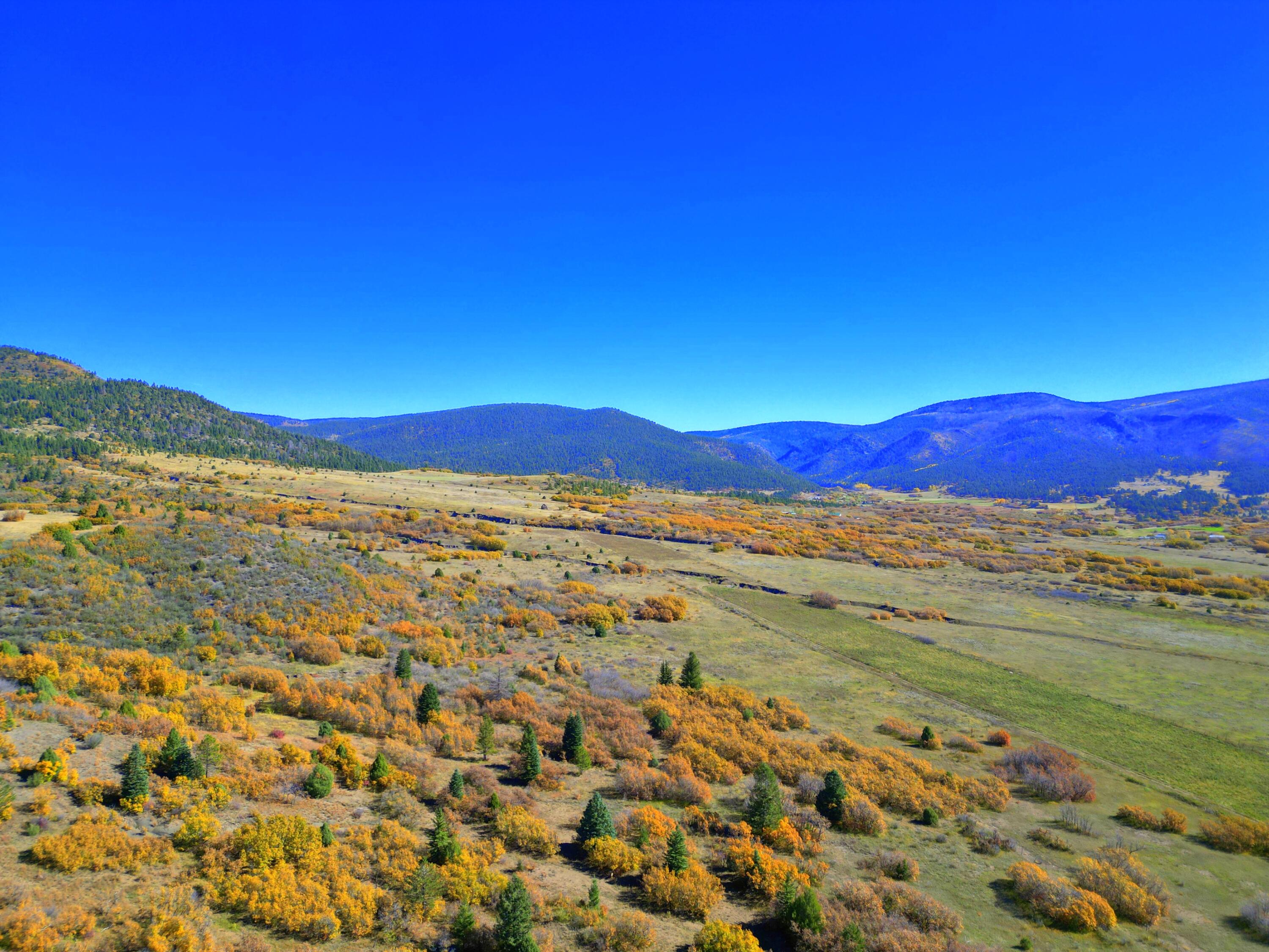 Chacon; Creek B008, Mora, New Mexico image 22