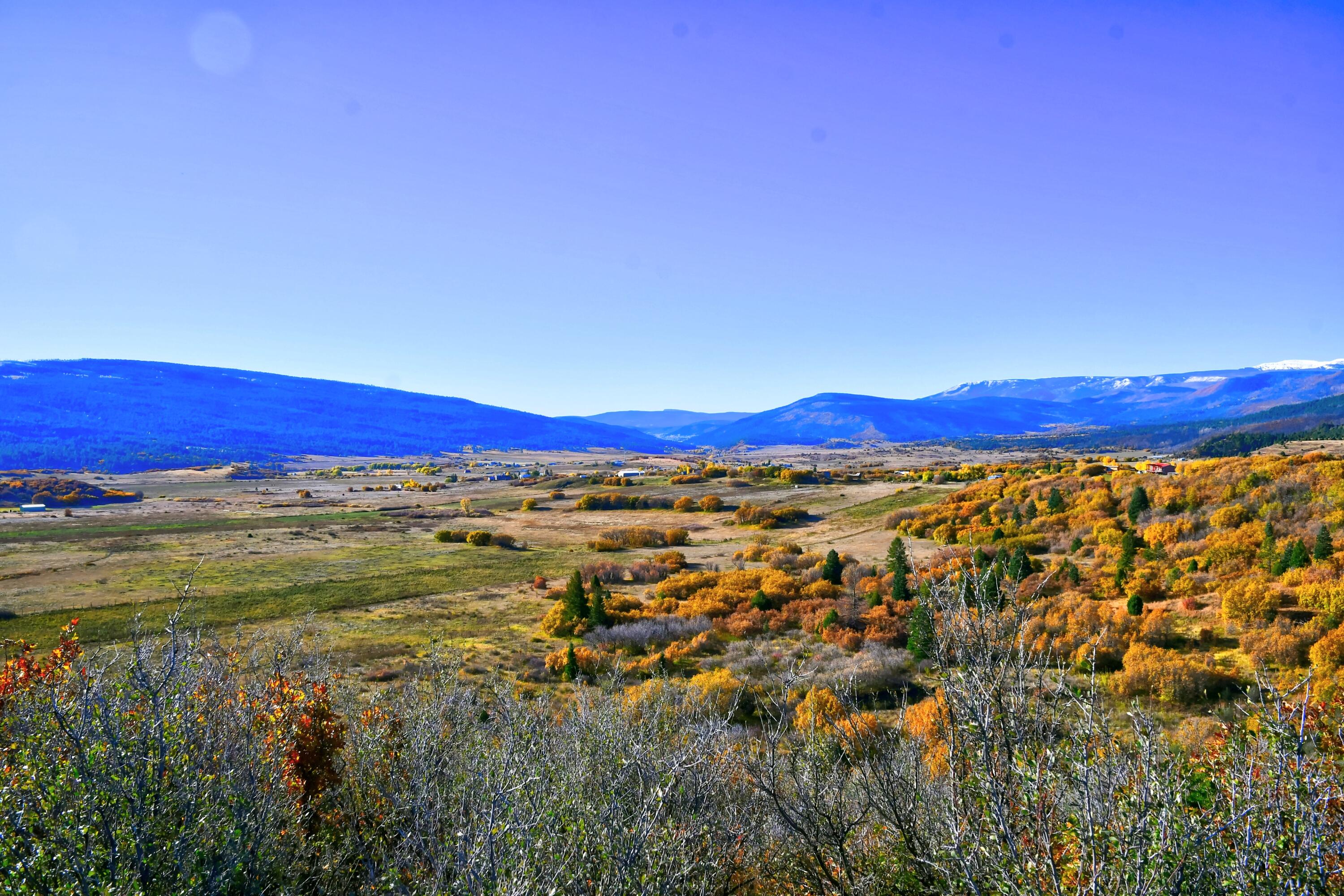 Chacon; Creek B008, Mora, New Mexico image 3