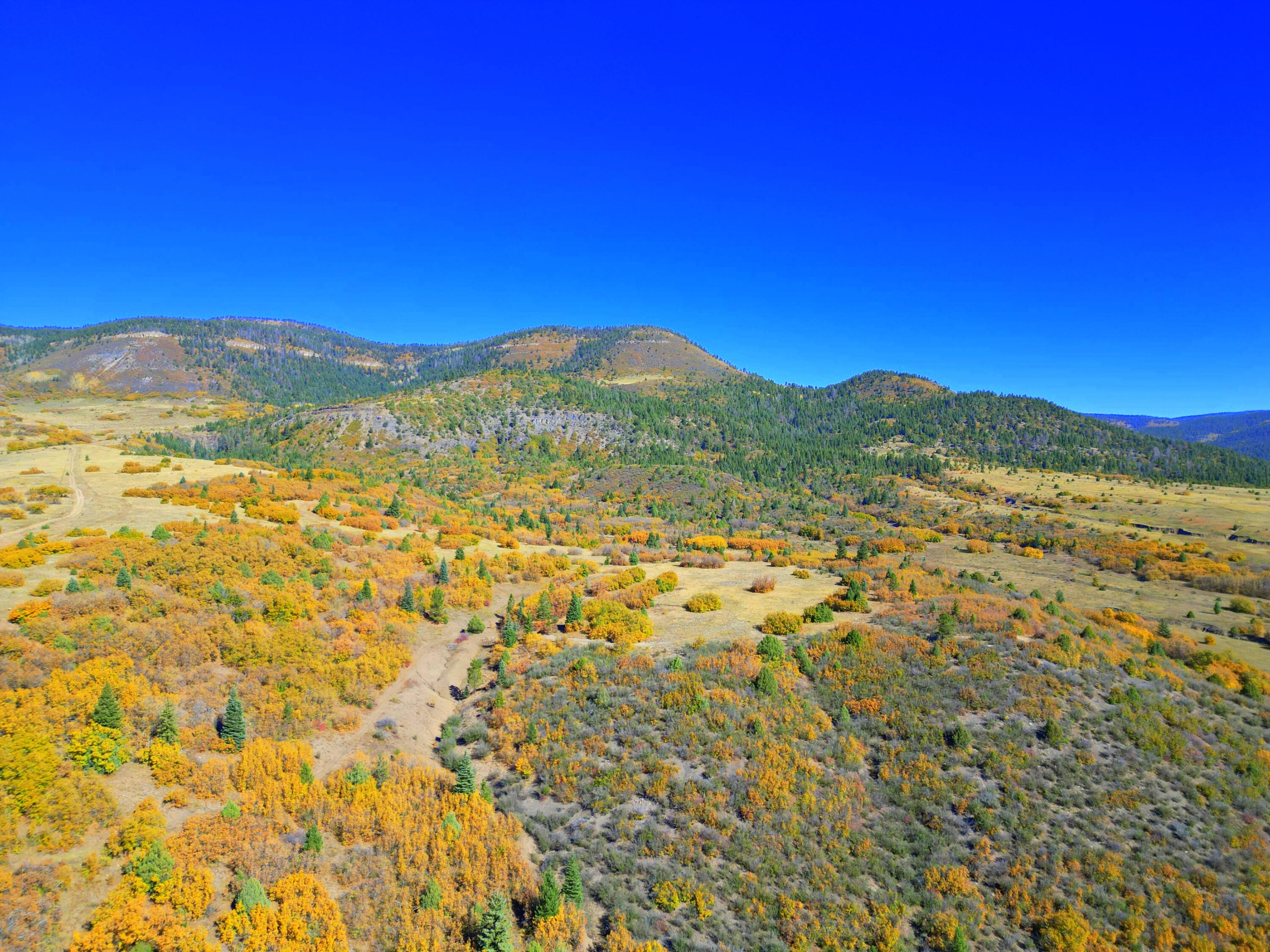 Chacon; Creek B008, Mora, New Mexico image 26