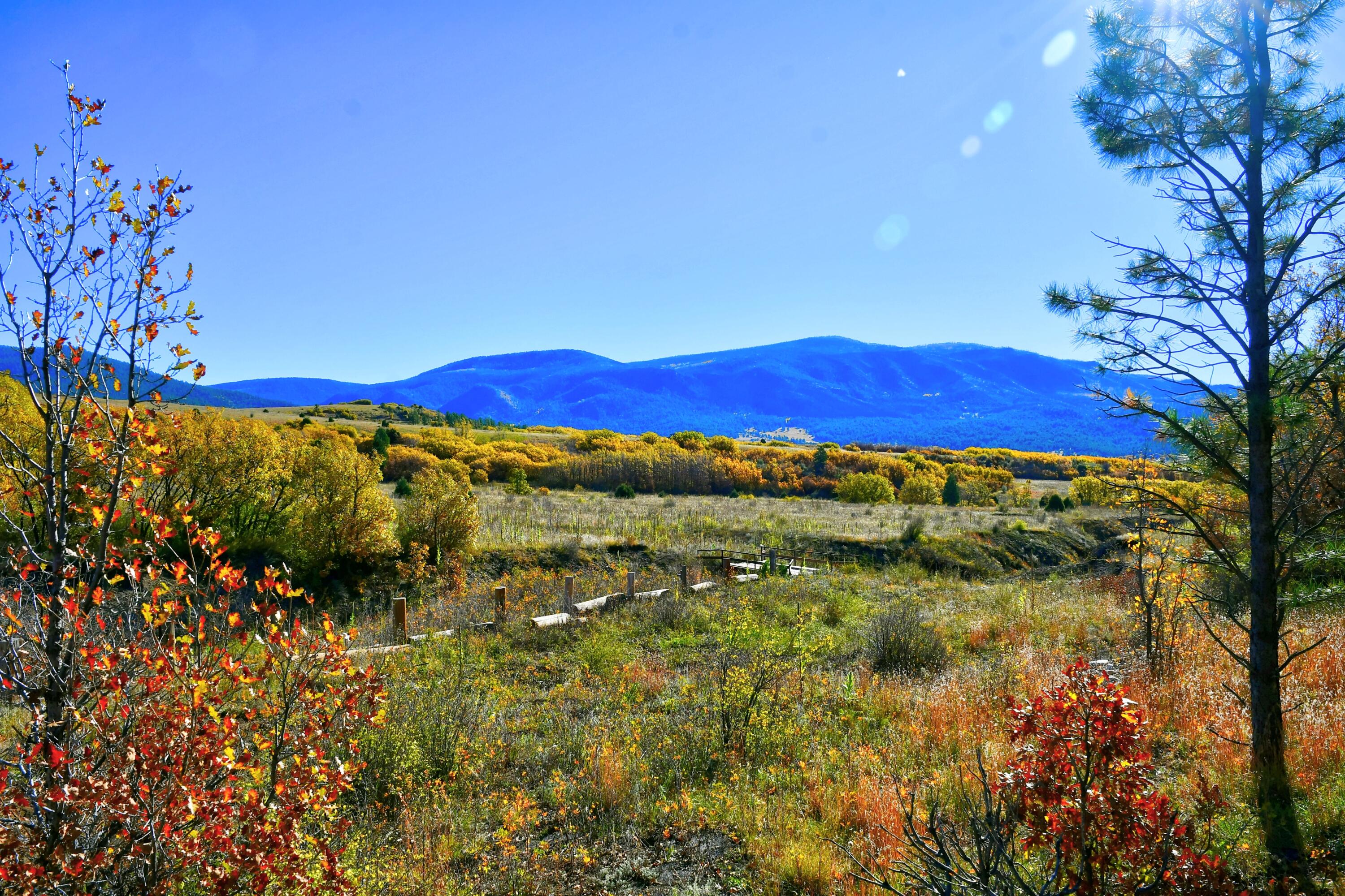 Chacon; Creek B008, Mora, New Mexico image 14