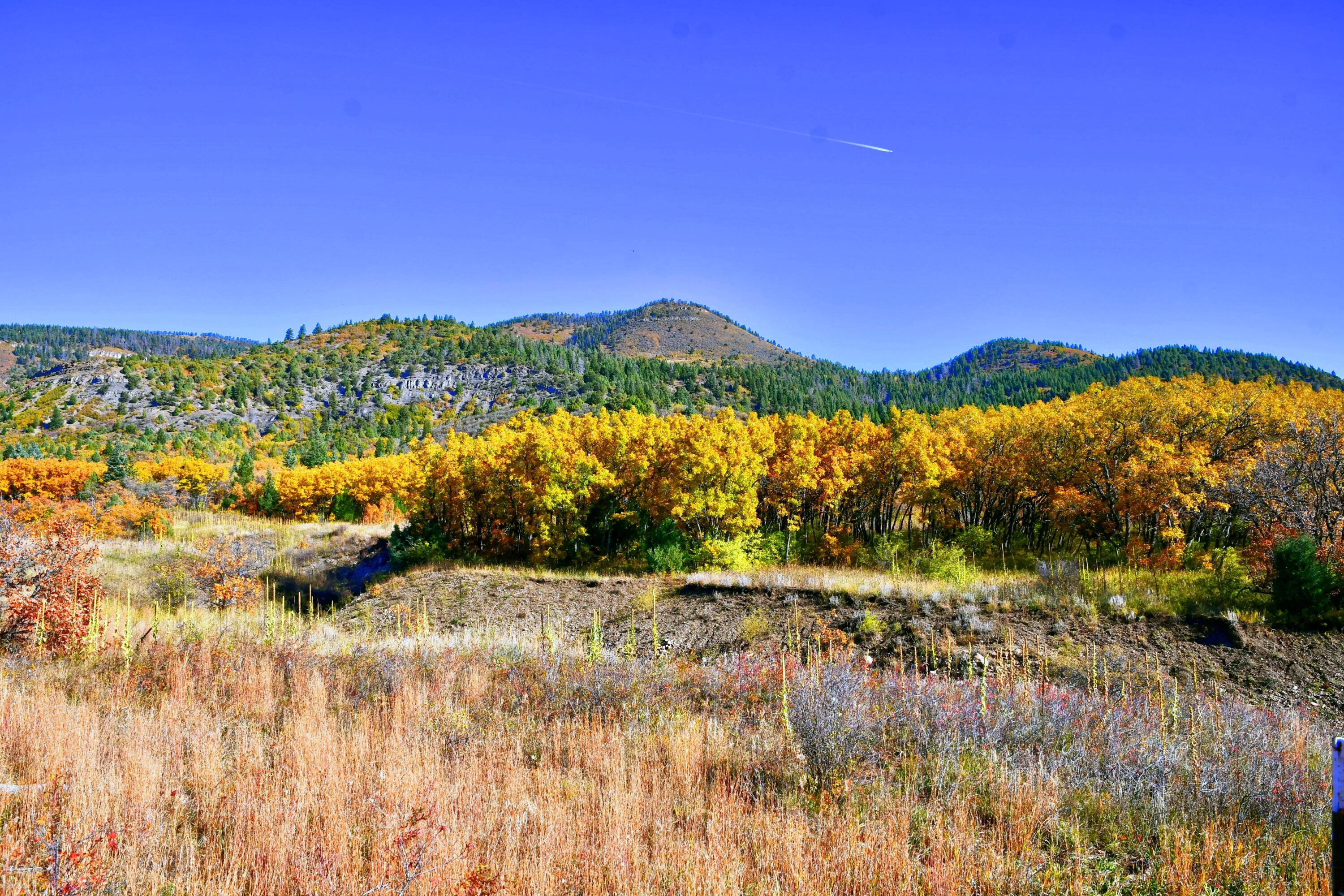 Chacon; Creek B008, Mora, New Mexico image 13