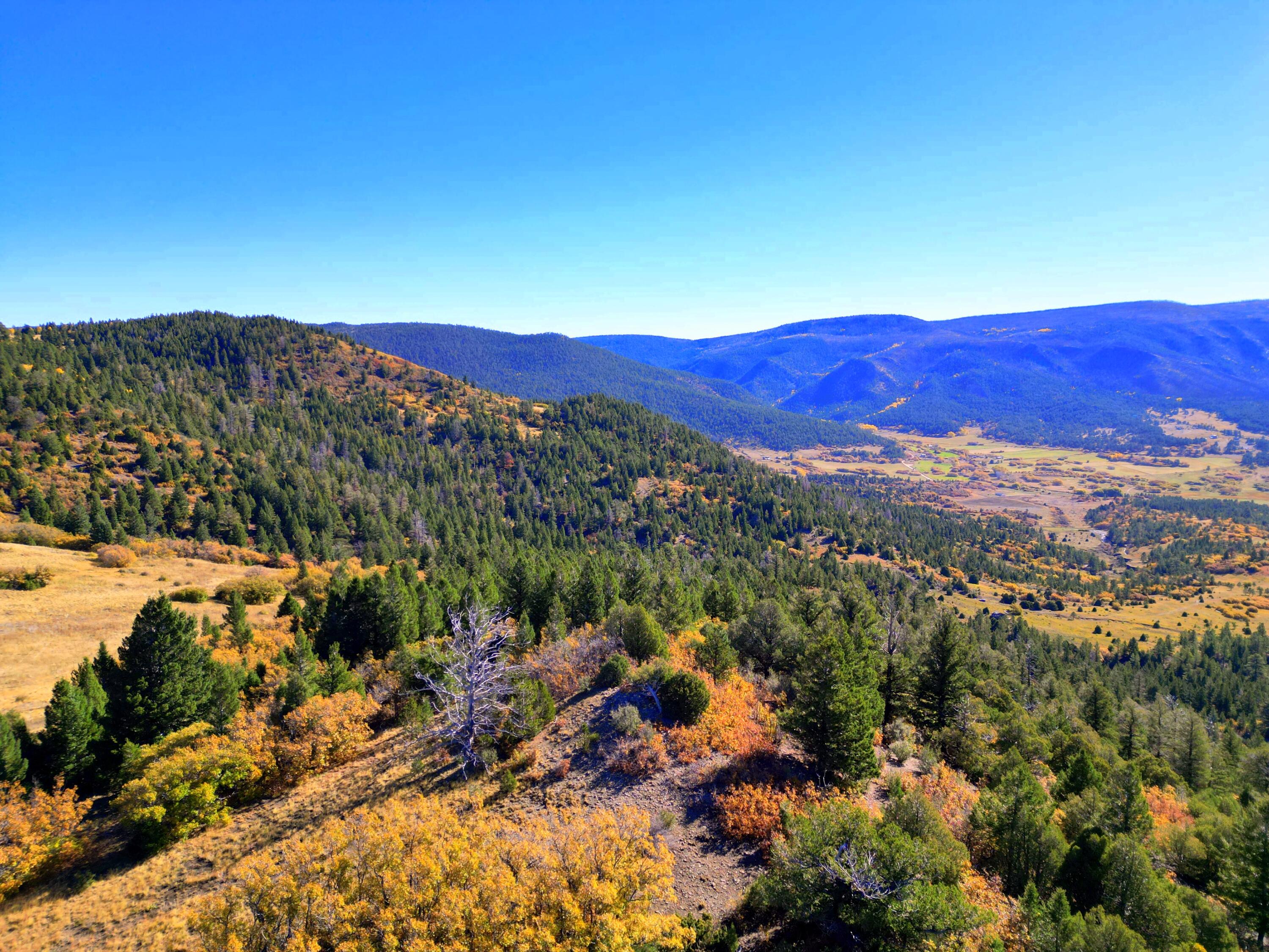 Chacon; Creek B008, Mora, New Mexico image 18