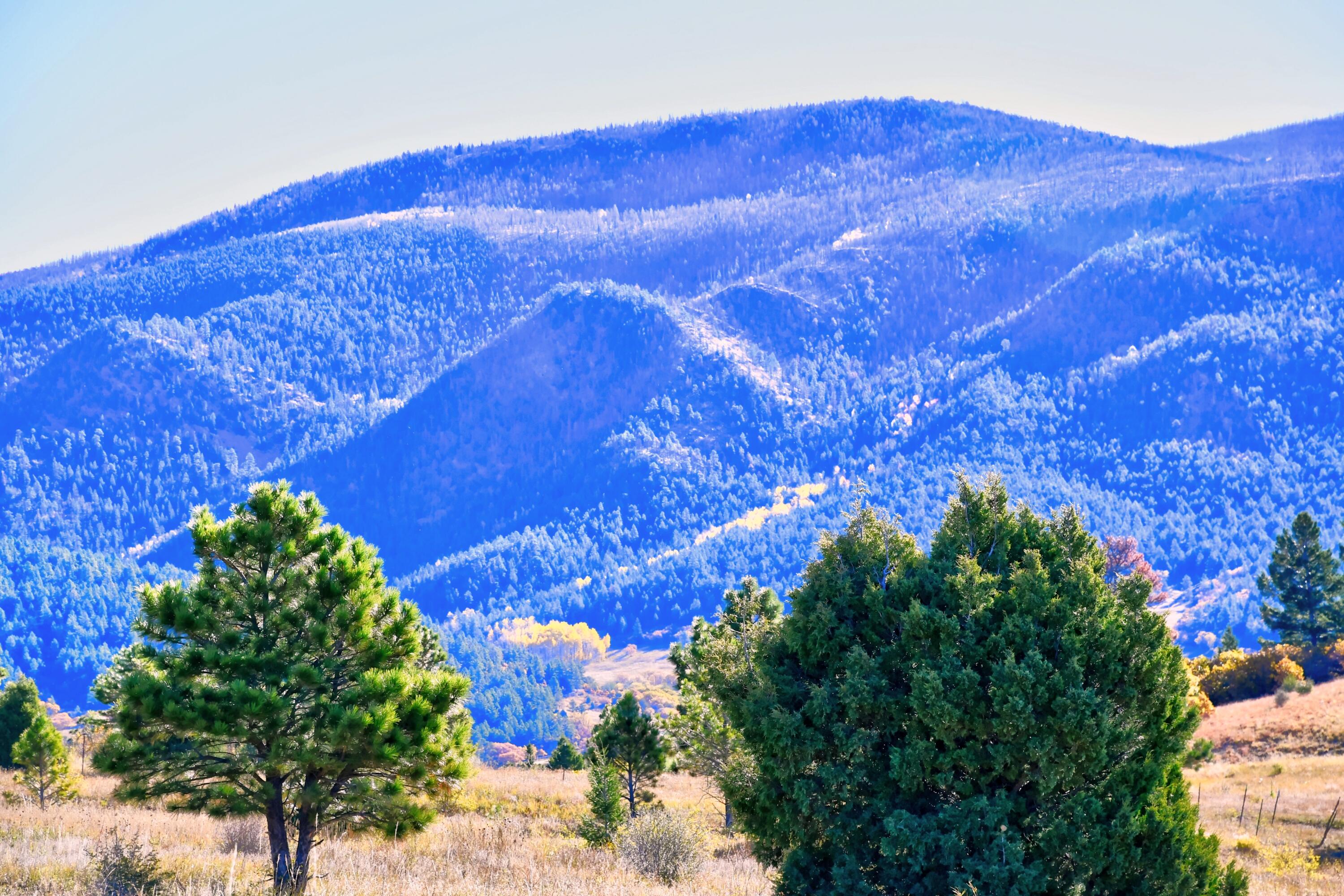 Chacon; Creek B008, Mora, New Mexico image 11