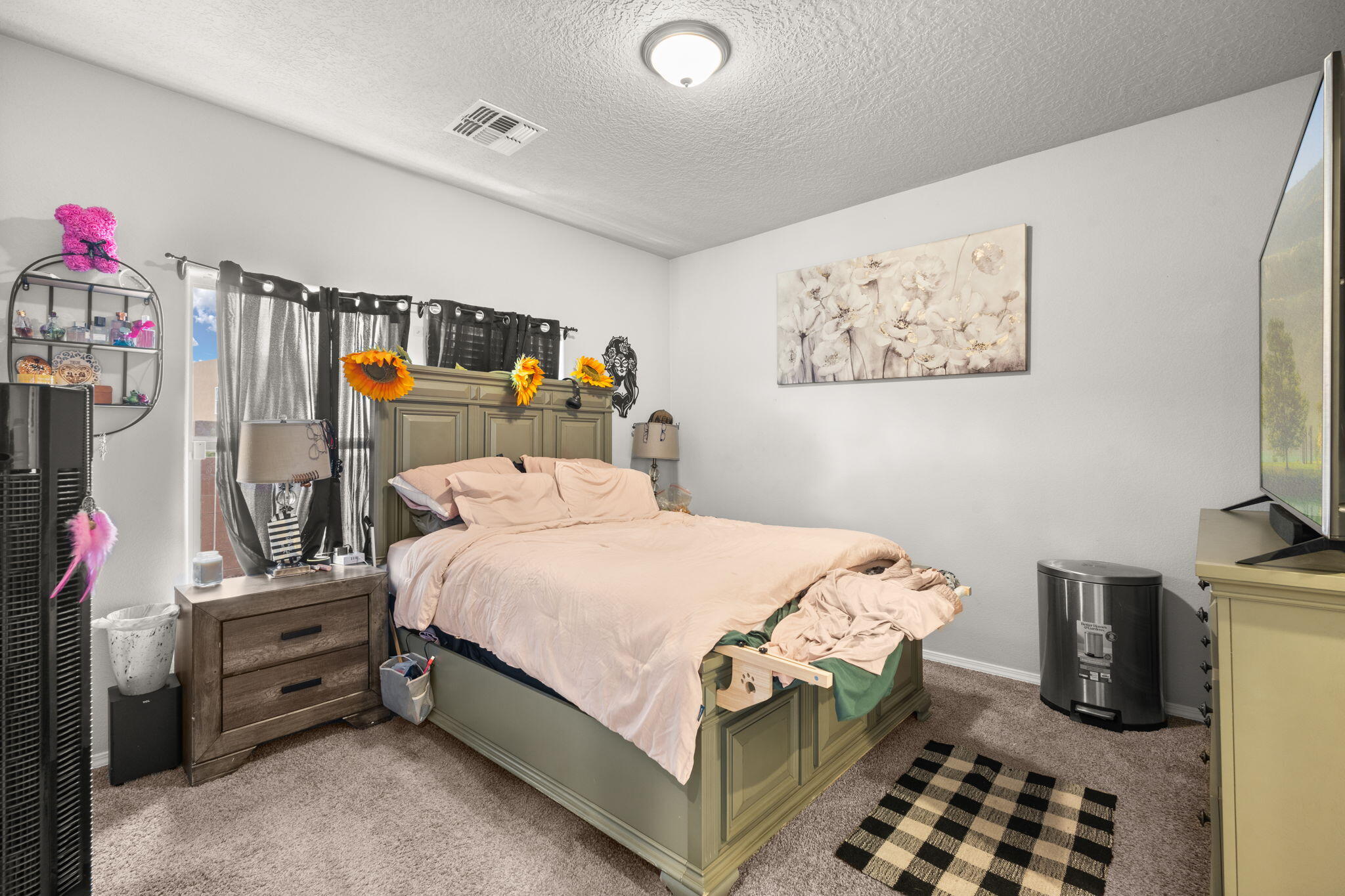 1523 Tierra Verde Loop, Los Lunas, New Mexico image 11