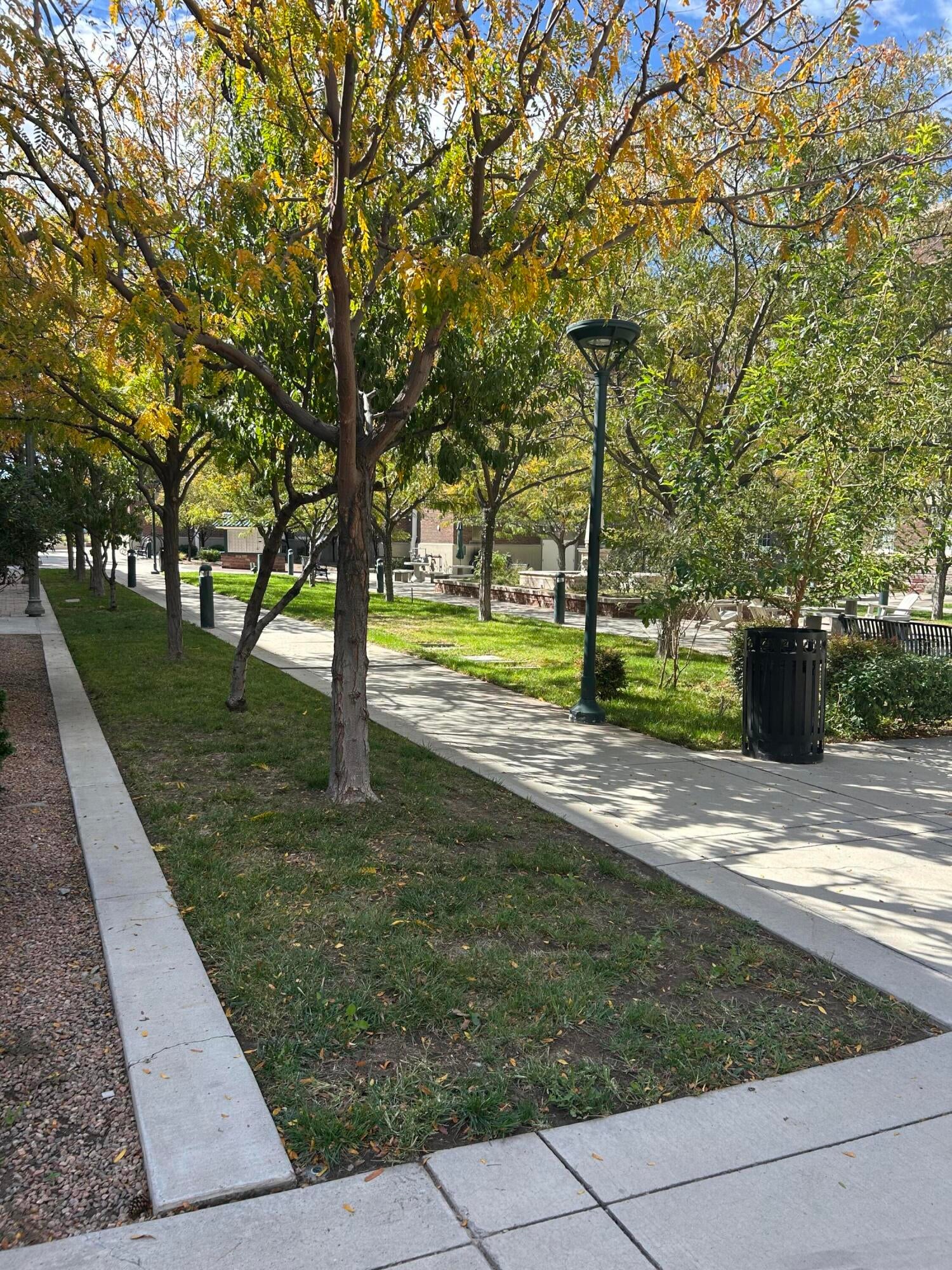 300 Tijeras Avenue NE APT 202