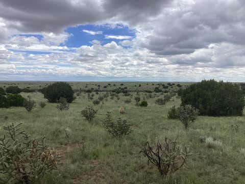 Vacant Land For Sale - Mission Hills Rd Tract E #11041038406405000000<br/> Estancia, NM 87016
