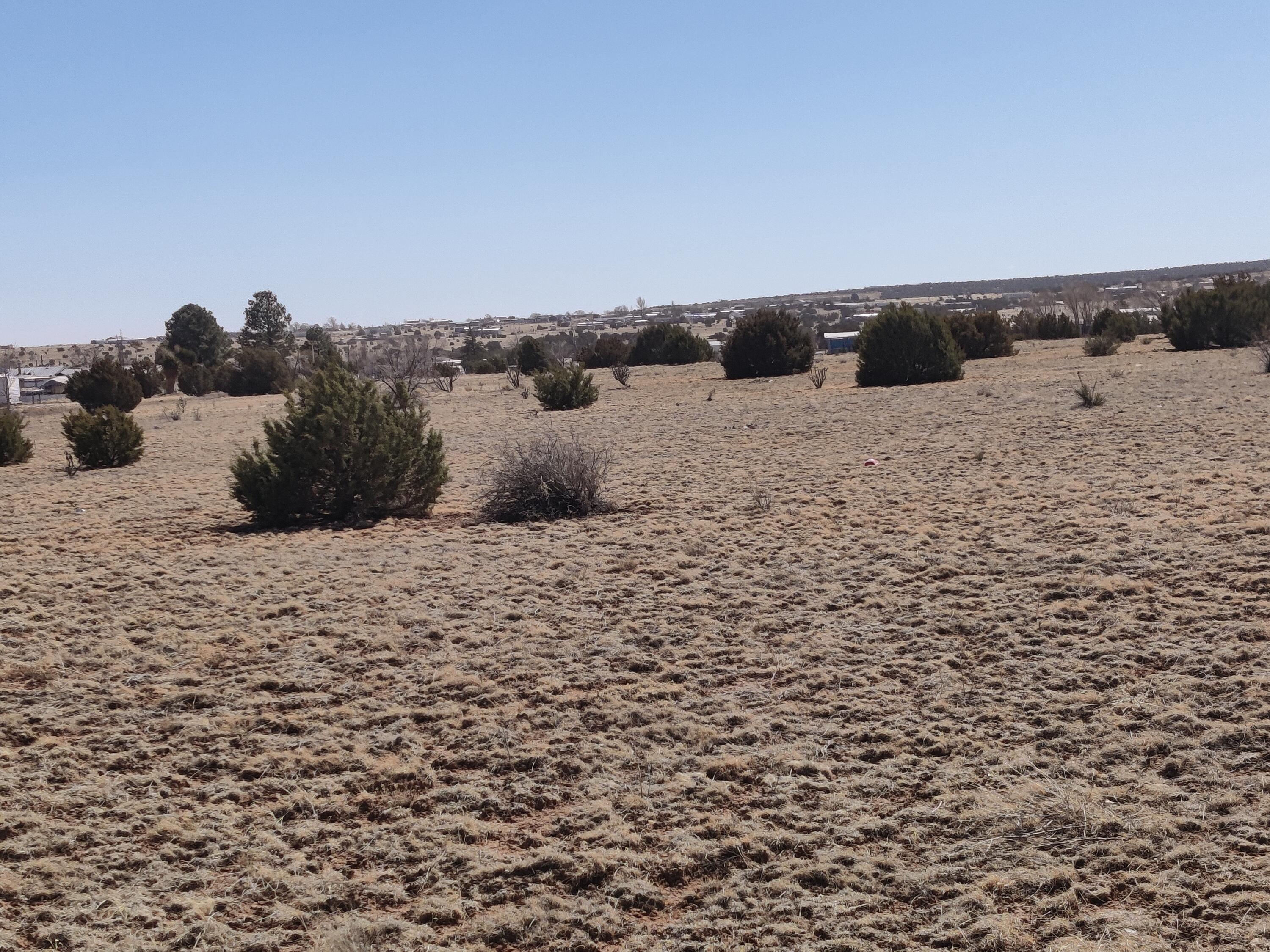 8 Birch Road, Edgewood, New Mexico image 2