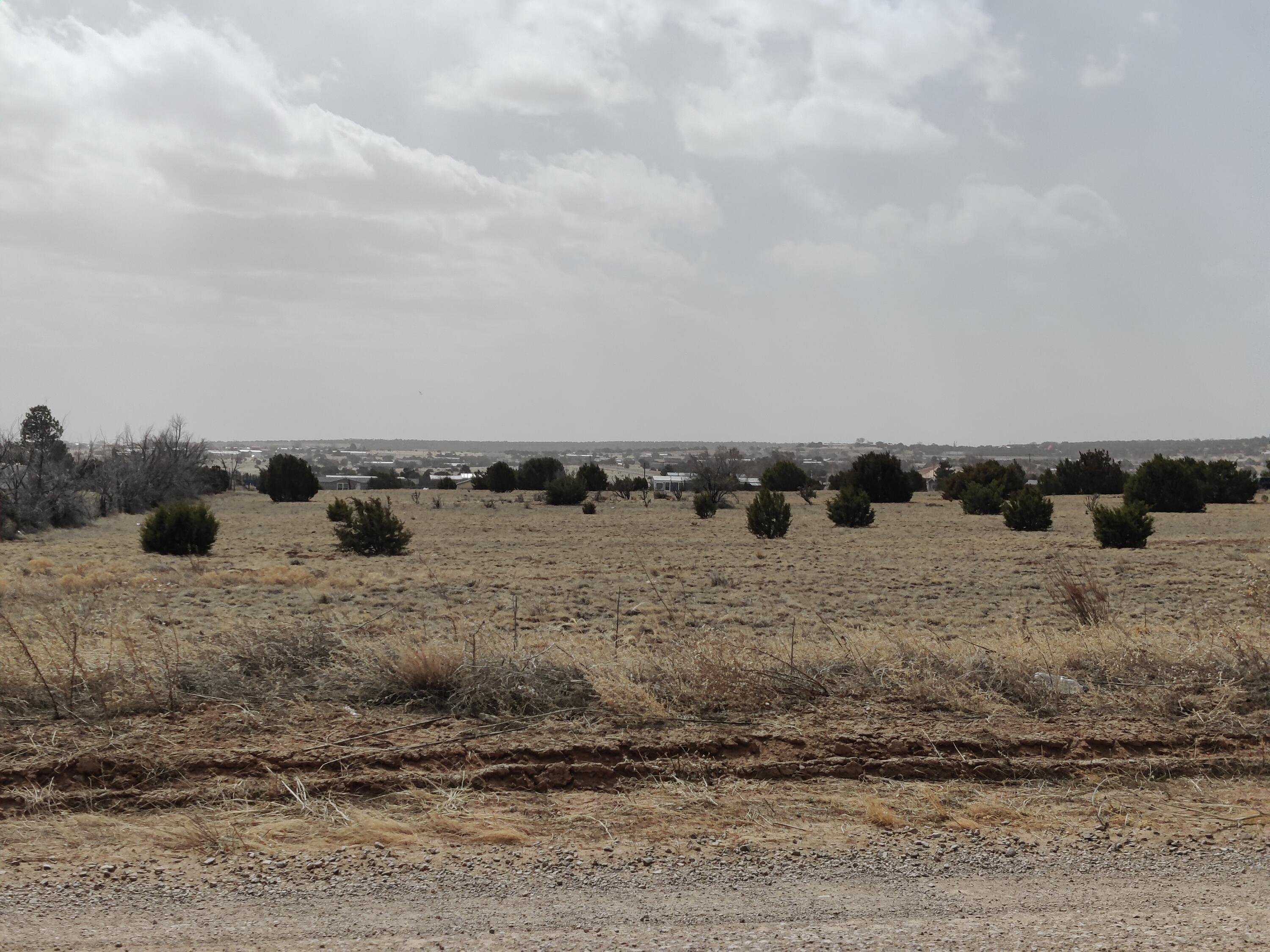 8 Birch Road, Edgewood, New Mexico image 1