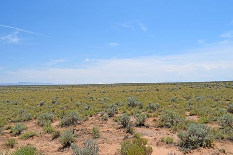 Vacant Land For Sale - LOT 7 Rio Del Oro #11<br/> Valencia County, Los Lunas, NM 87031