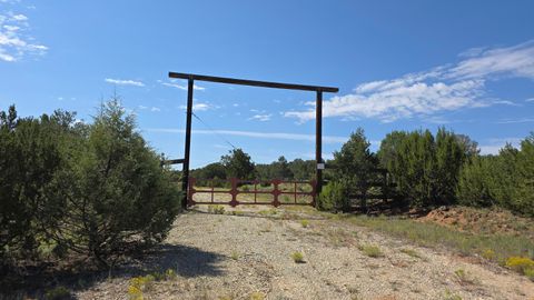 Vacant Land For Sale - 92 La Miga Canyon Road<br/> Torrance County, Estancia, NM 87016