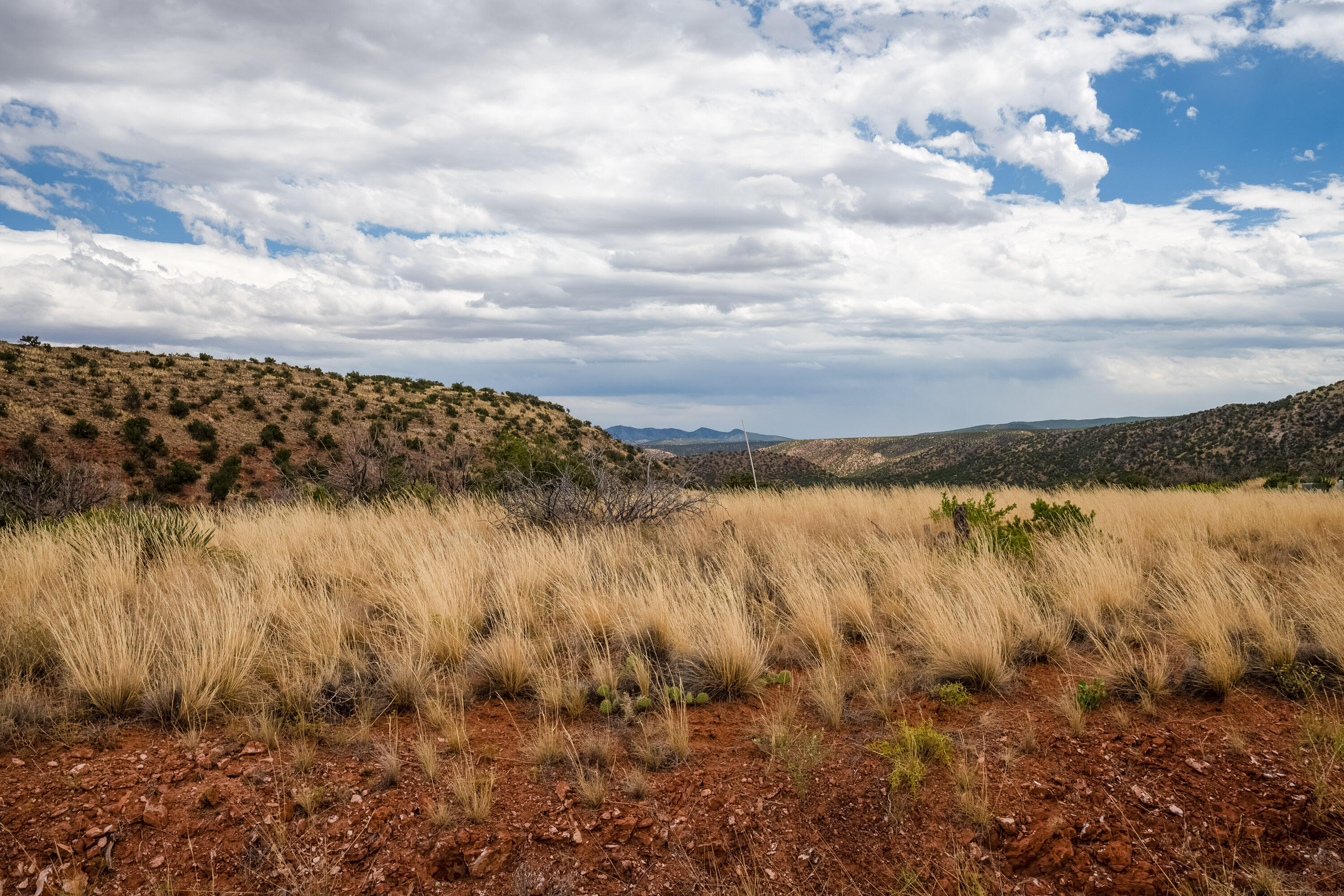 260 Ranch Court, Placitas, New Mexico image 6