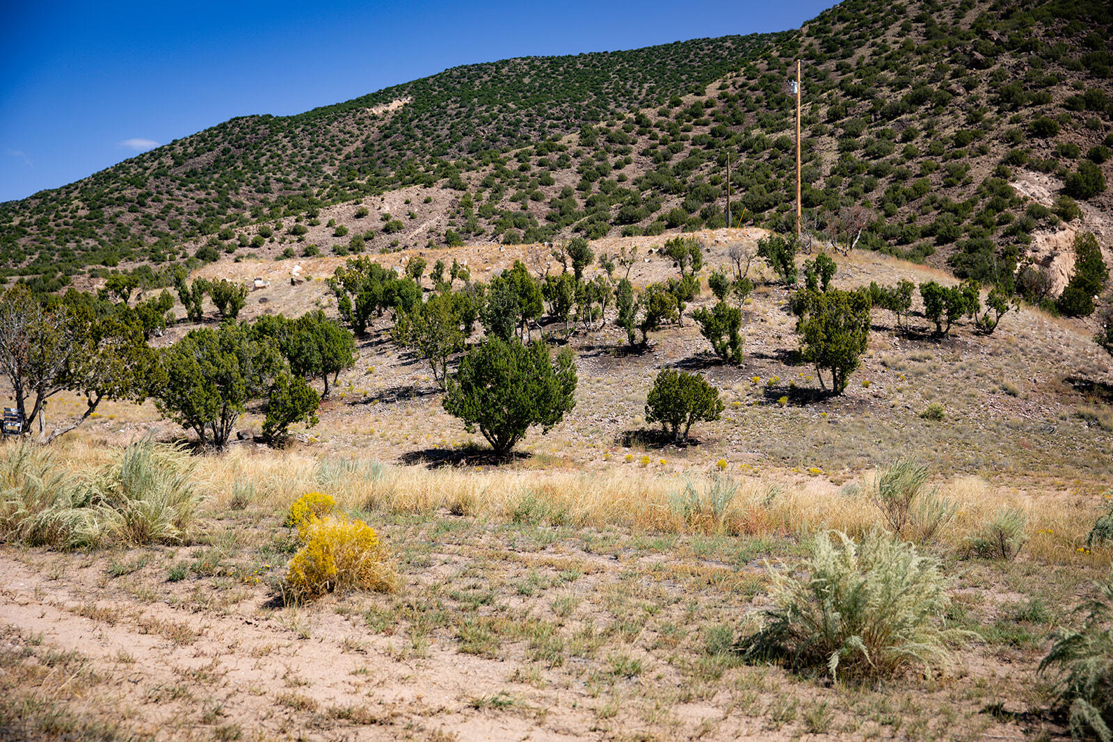 33750 Us Hwy 285, Hernandez, New Mexico image 4