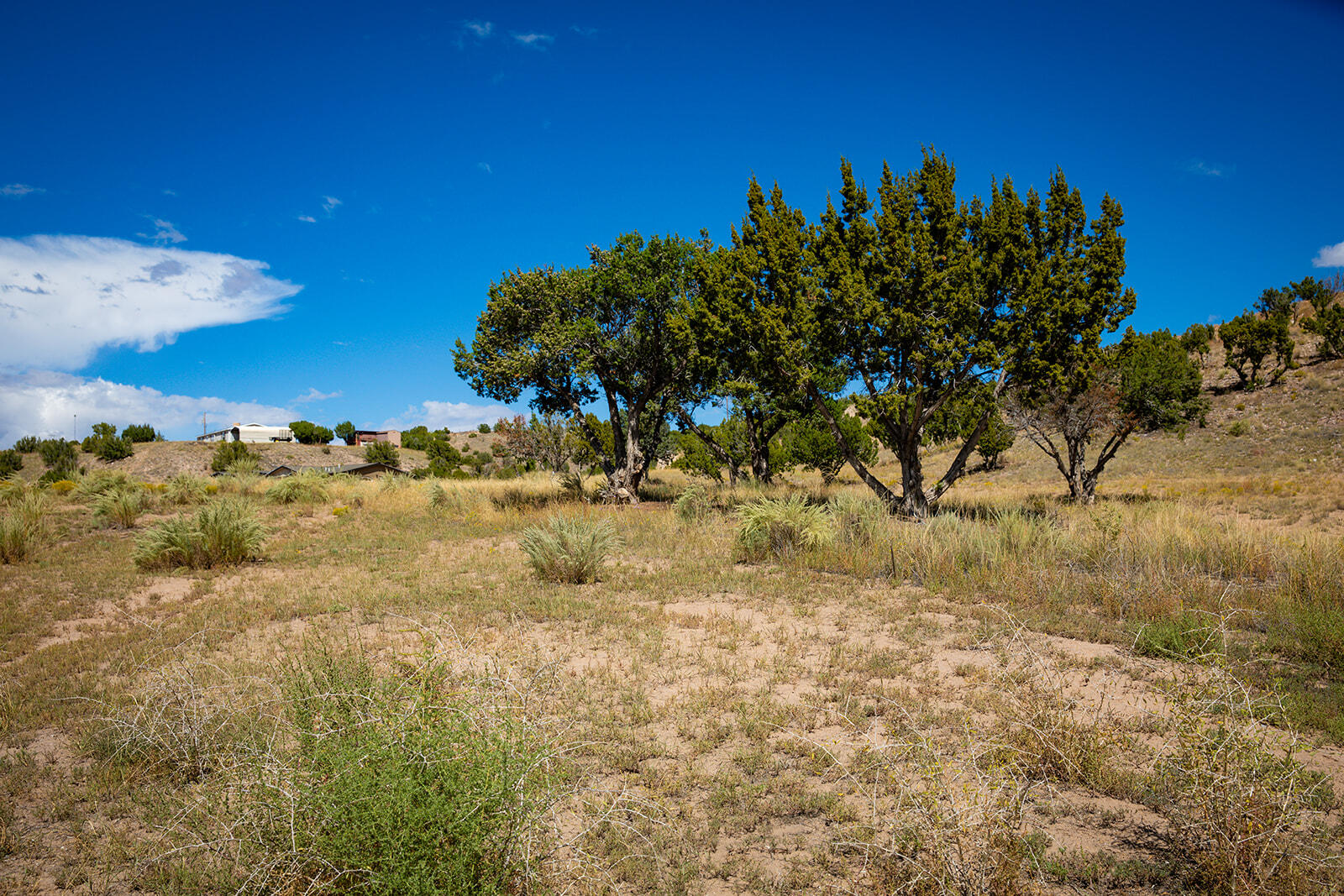 33750 Us Hwy 285, Hernandez, New Mexico image 2