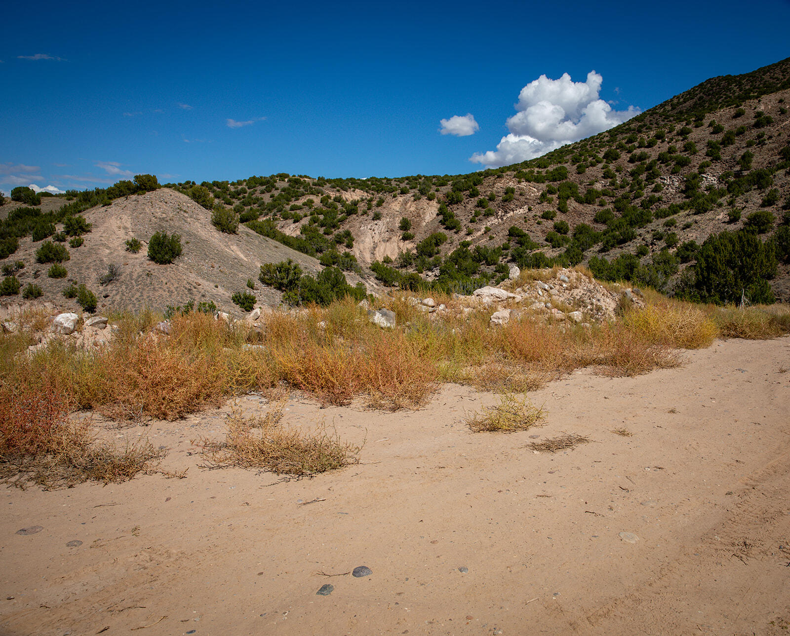 33750 Us Hwy 285, Hernandez, New Mexico image 21