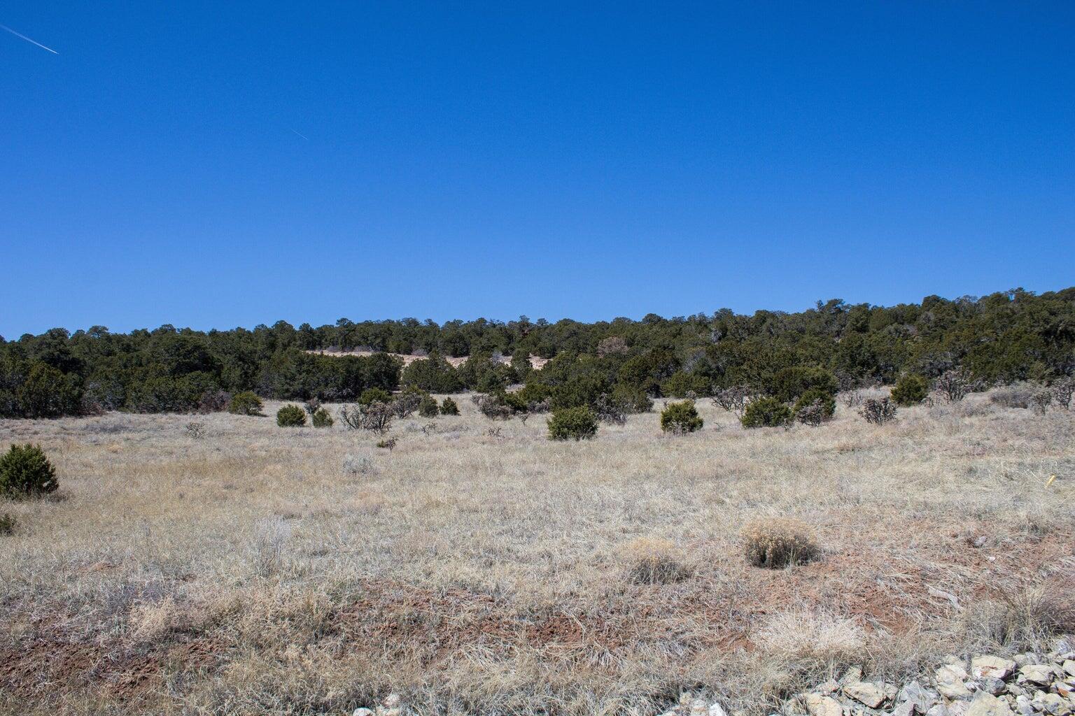 91 Bolivar, Tijeras, New Mexico image 16